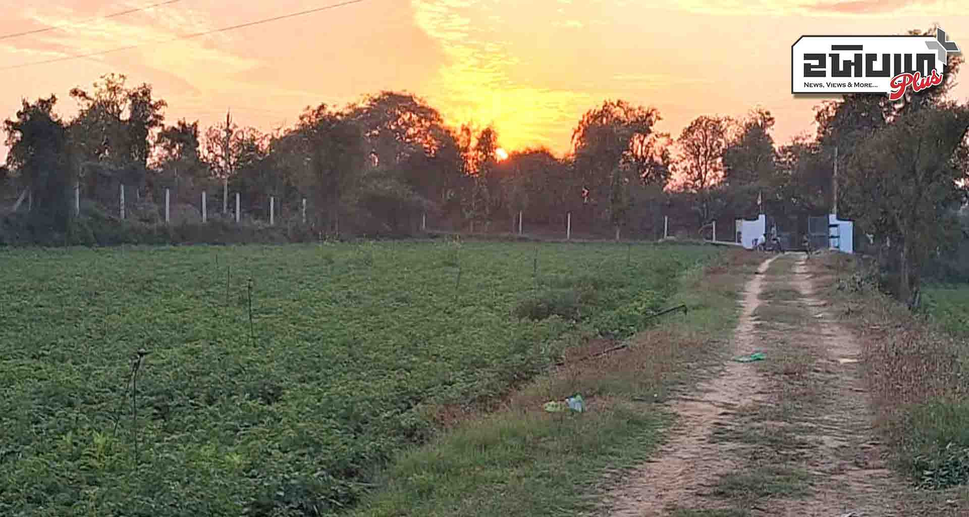 બનાસકાંઠા જિલ્લામાં ઠંડીમાં આકસ્મિક ઘટાડો : બપોરે ગરમીનો અહેસાસ