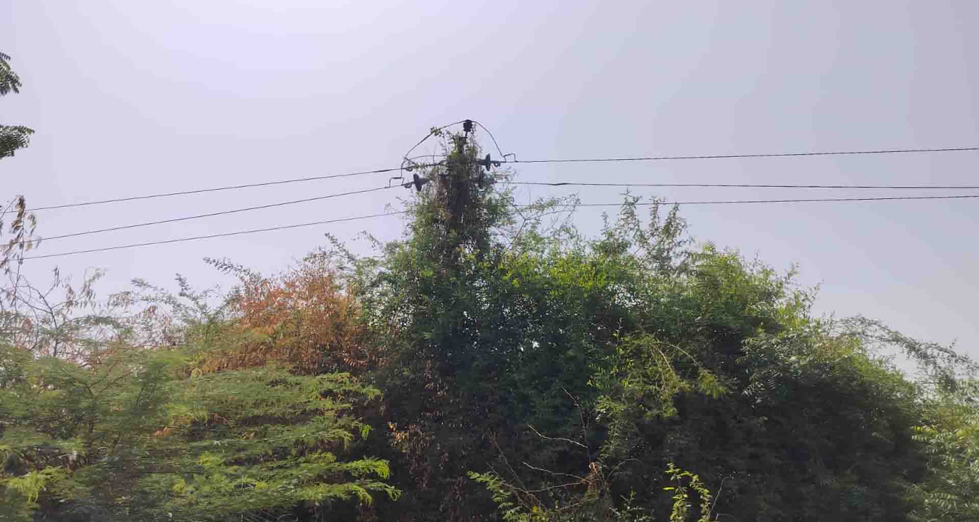 ડીસા ઝેરડા પંથકમાં યુજીવીસીએલની પ્રિ-મોન્સુનની પ્લાનનો ફિયાસ્કો