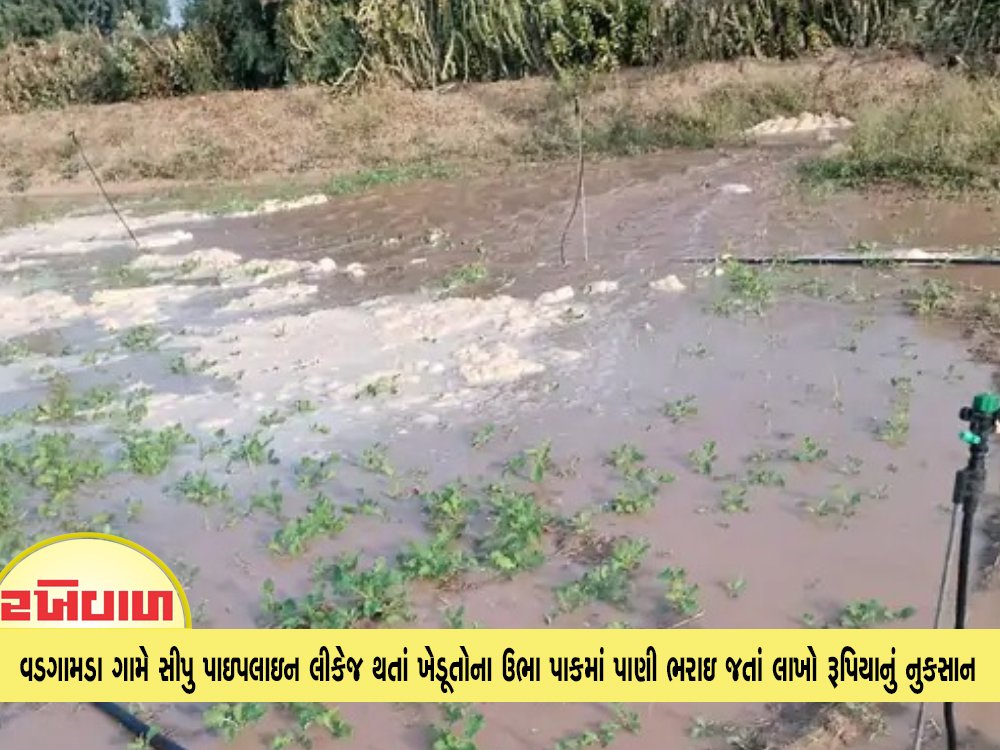 વડગામડા ગામે સીપુ પાઇપલાઇન લીકેજ થતાં ખેડૂતોના ઉભા પાકમાં પાણી ભરાઇ જતાં લાખો રૂપિયાનું નુકસાન