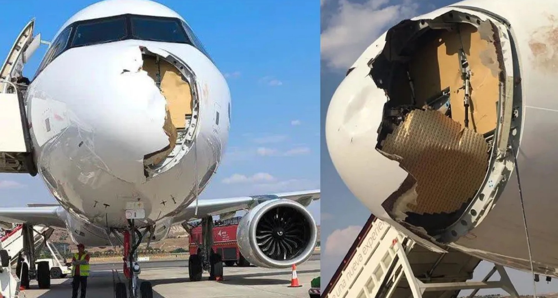 પેરિસ જતું વિમાન પક્ષી સાથે અથડાયું, આગળનો ભાગ સંપૂર્ણપણે નુકસાન પામ્યો; ઇમરજન્સી લેન્ડિંગથી જીવ બચી ગયા