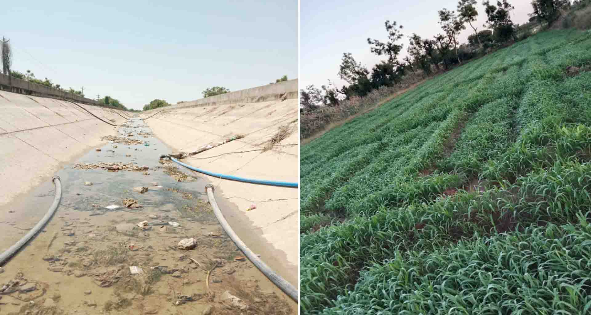 સરહદી વાવ અને સુઇગામની બ્રાન્ચ કેનાલોમાં પાણી બંધ કરાતાં ખેડૂતો મુશ્કેલીઓમાં મુકાયા