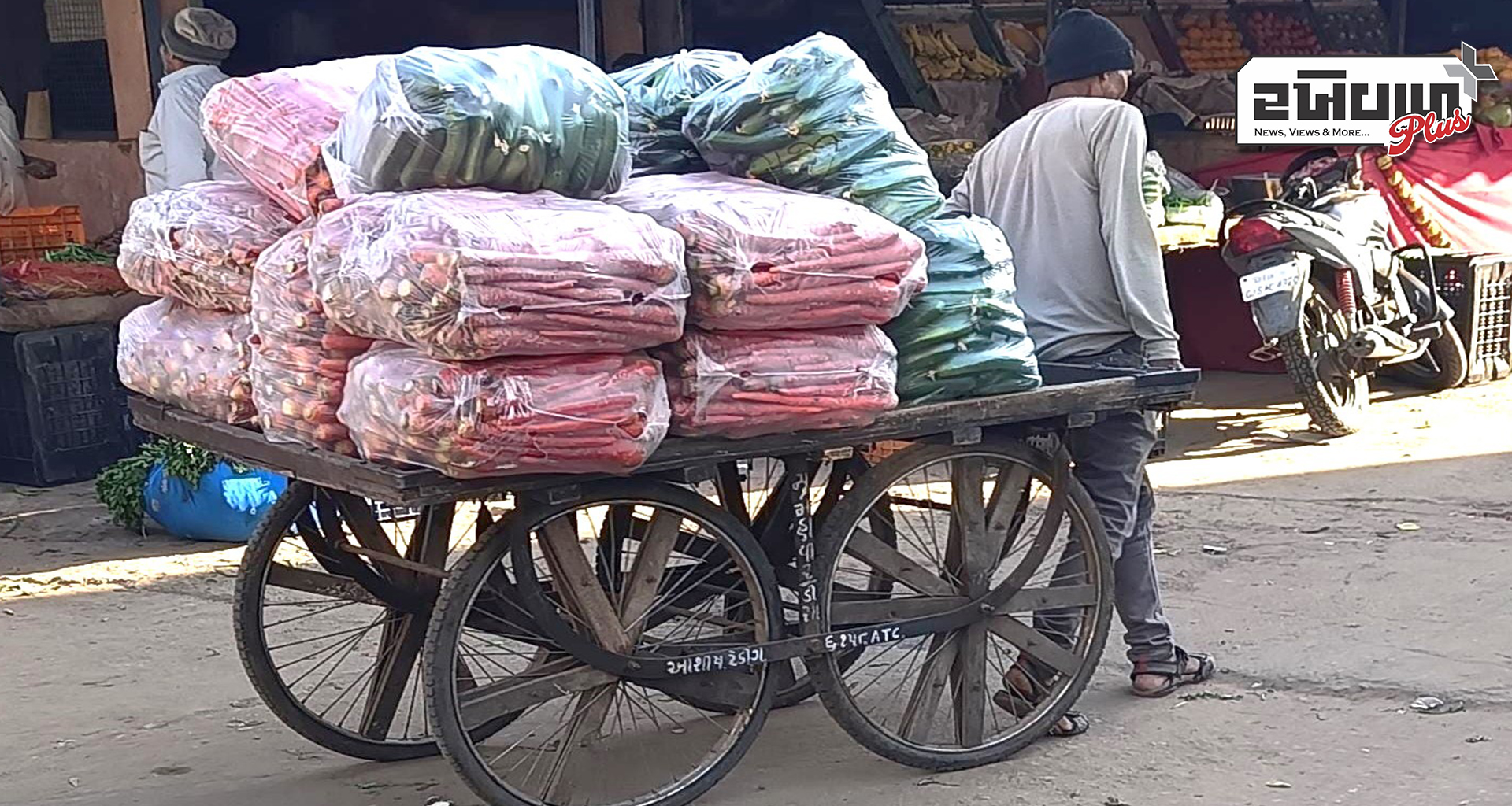 ડીસા સહિત અન્ય શહેરોમાં શાકભાજીની આવક વધતા ભાવમાં ઘરખમ ઘટાડો