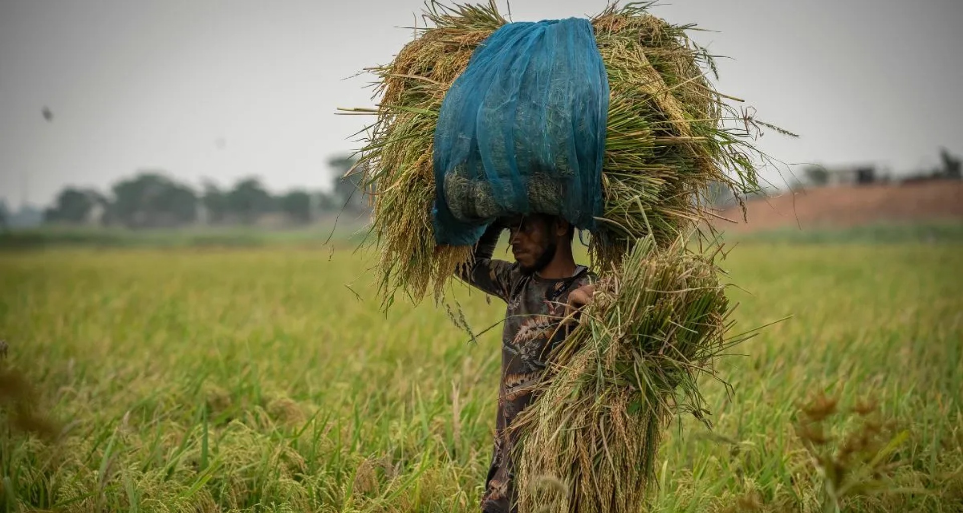 ખેડૂતો માટે મોટો દિવસ, પીએમ મોદી આજે ₹35,440 કરોડની 3 યોજનાઓ લોન્ચ કરશે