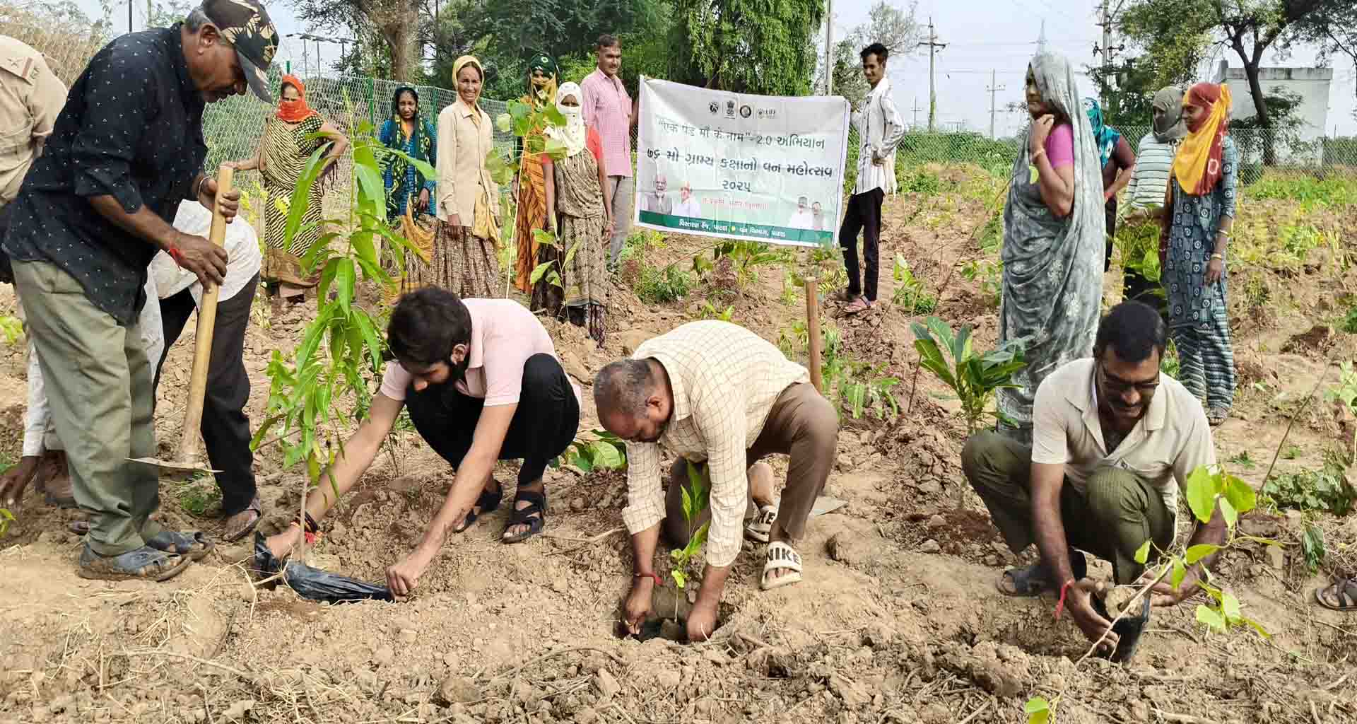 પાટણ તાલુકાના સંખારી ગામની 3 હેકર જમીનમાં 30 હજાર વૃક્ષોનો ઉછેર કરાશે..!