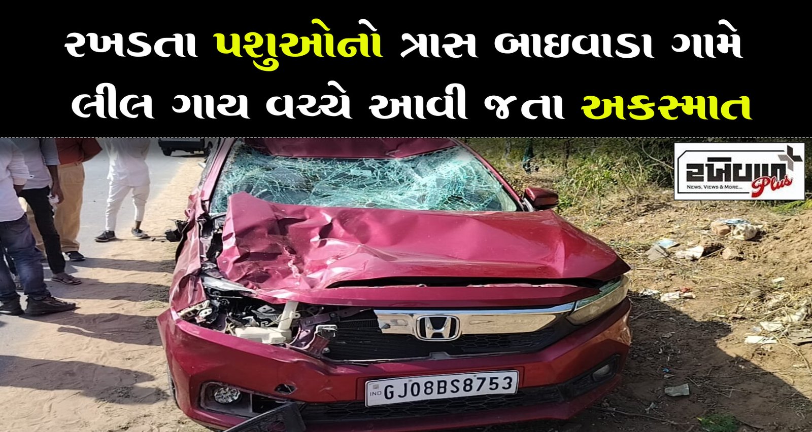 રખડતા પશુઓનો ત્રાસ બાઈવાડા ગામે લીલ ગાય વચ્ચે આવી જતા અકસ્માત