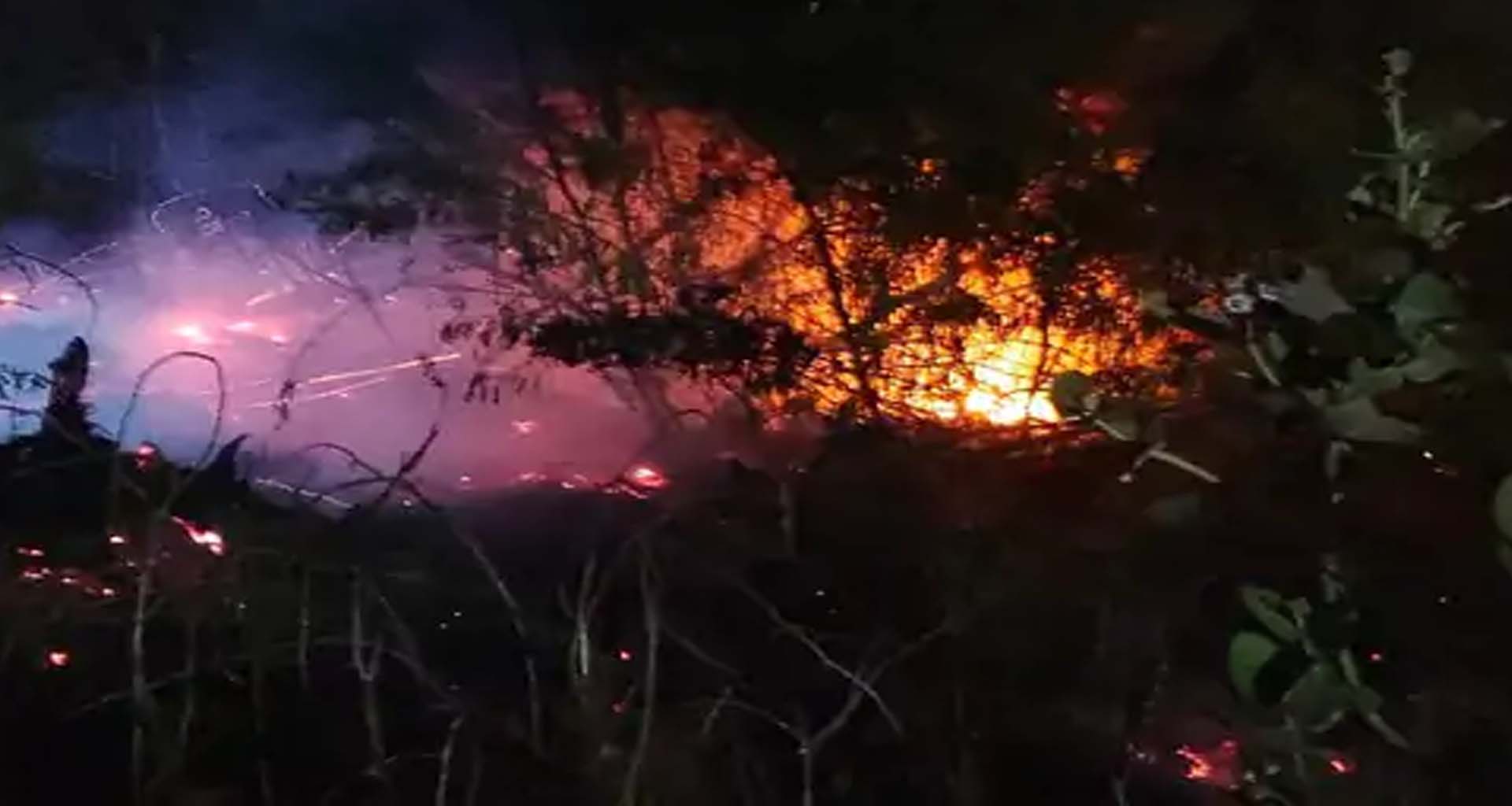 હિંમતનગર સમરસ હોસ્ટેલ પાછળ આગ લાગી : ફાયર વિભાગે પાણીનો મારો ચલાવી આગ બુઝાવી