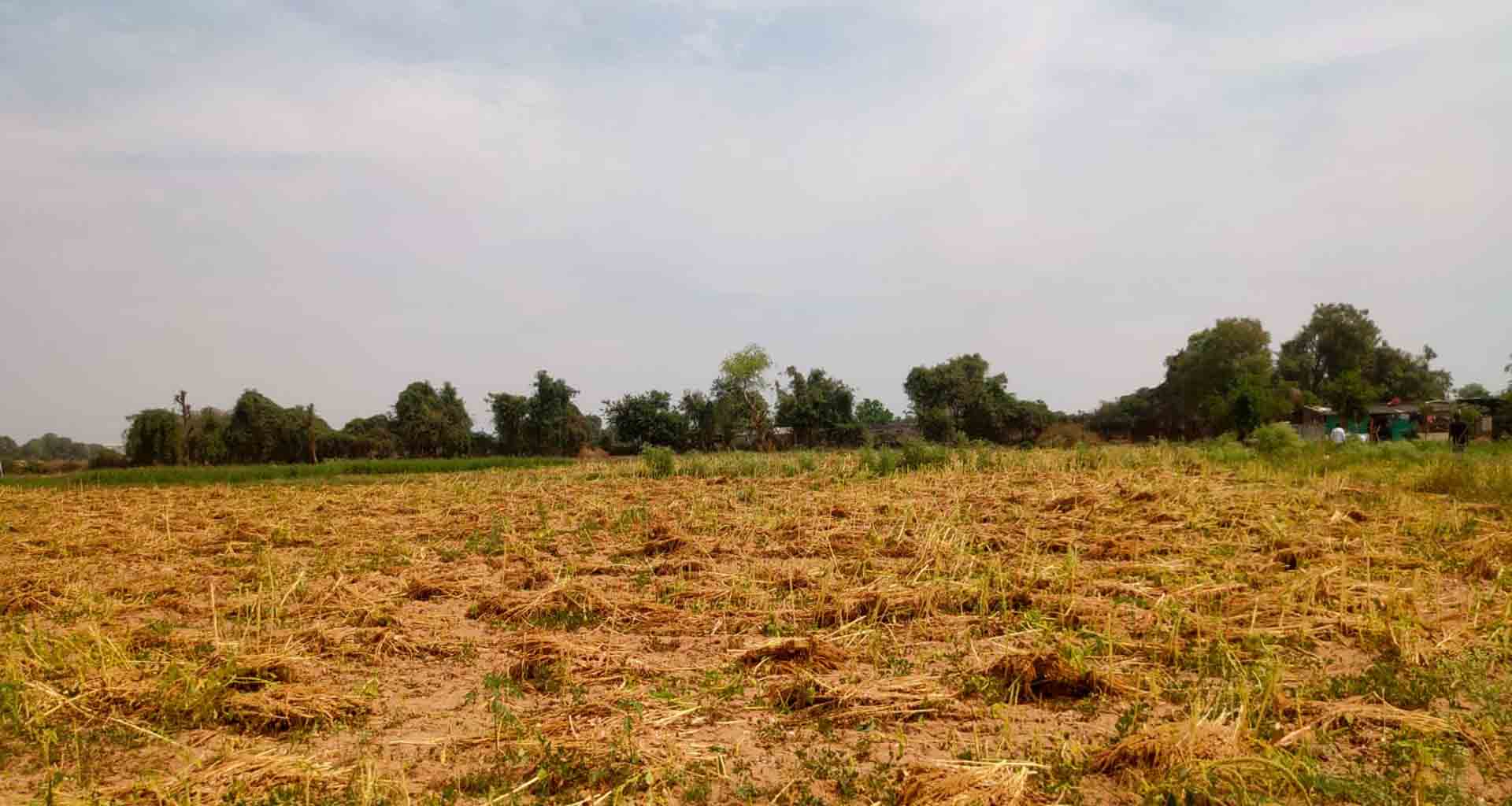 બનાસકાંઠા સહિત ઉત્તર ગુજરાતના કેટલાક ભાગોમાં હવામાનમાં પલટો આવવાની શક્યતા