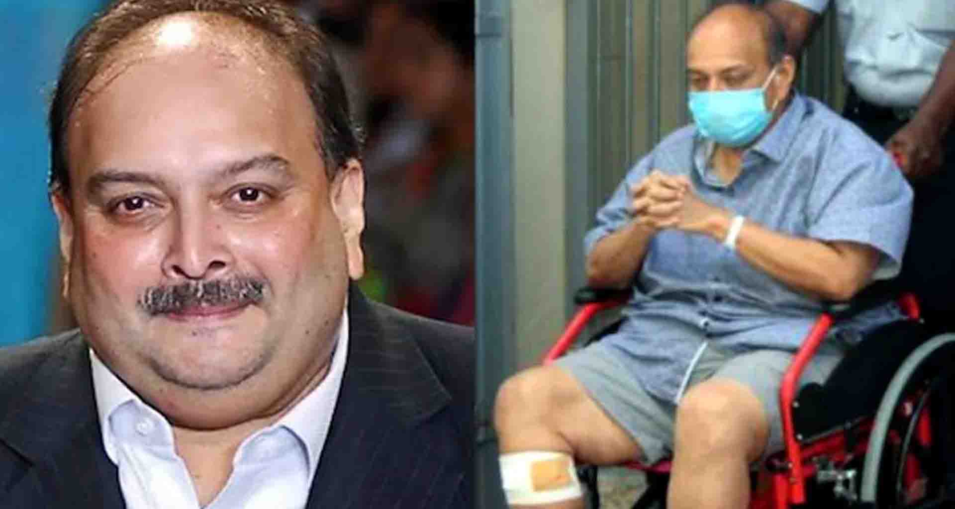 પીએનબી કૌભાંડના આરોપી ભાગેડુ મેહુલ ચોક્સીની બેલ્જિયમમાં ધરપકડ