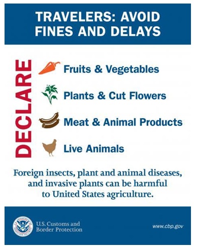 અમેરિકાએ આંતરરાષ્ટ્રીય પ્રવાસીઓ માટે નવી ચેતવણી જારી કરી, ‘માંસ, ફળો, પ્રાણીઓ, માટી’ જાહેર કરવા કહ્યું