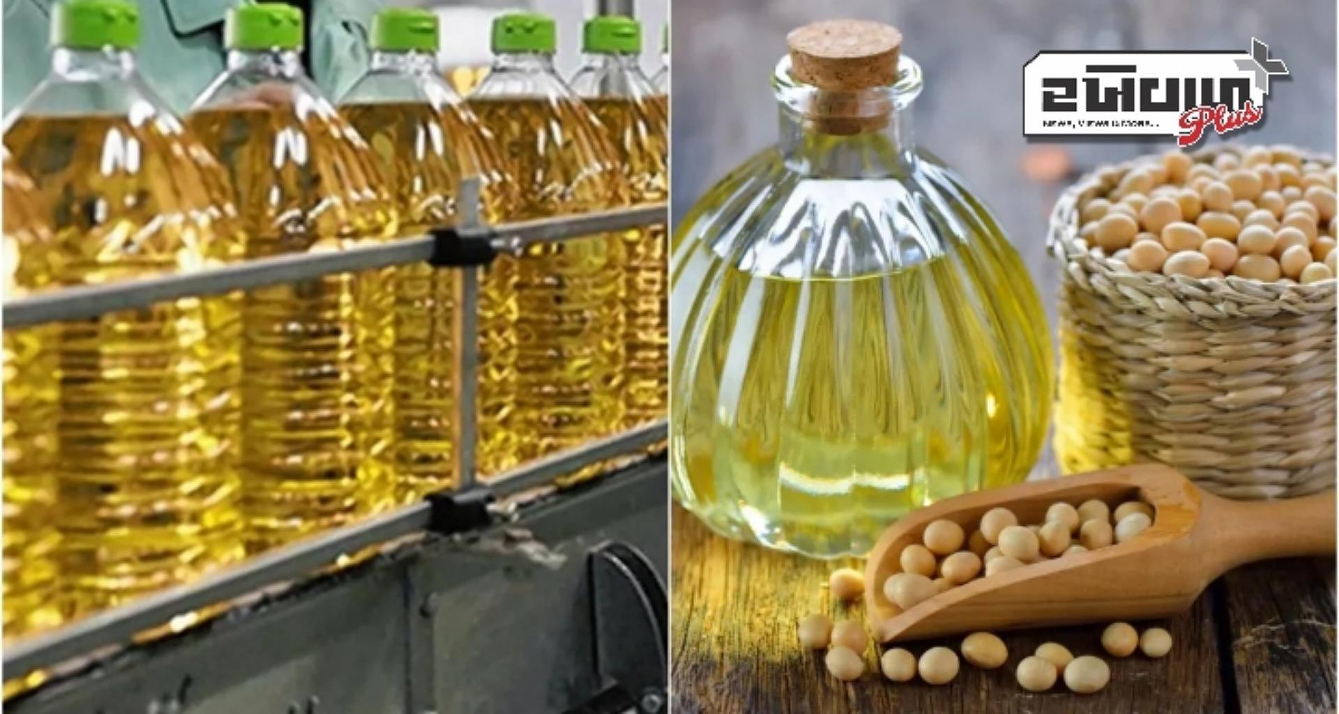 ખાદ્ય તેલના ભાવ: તહેવારોની માંગને કારણે તેલ થયું મોંઘુ, સરસવ, સોયાબીન, મગફળી અને પામ તેલના નવીનતમ ભાવ જાણો