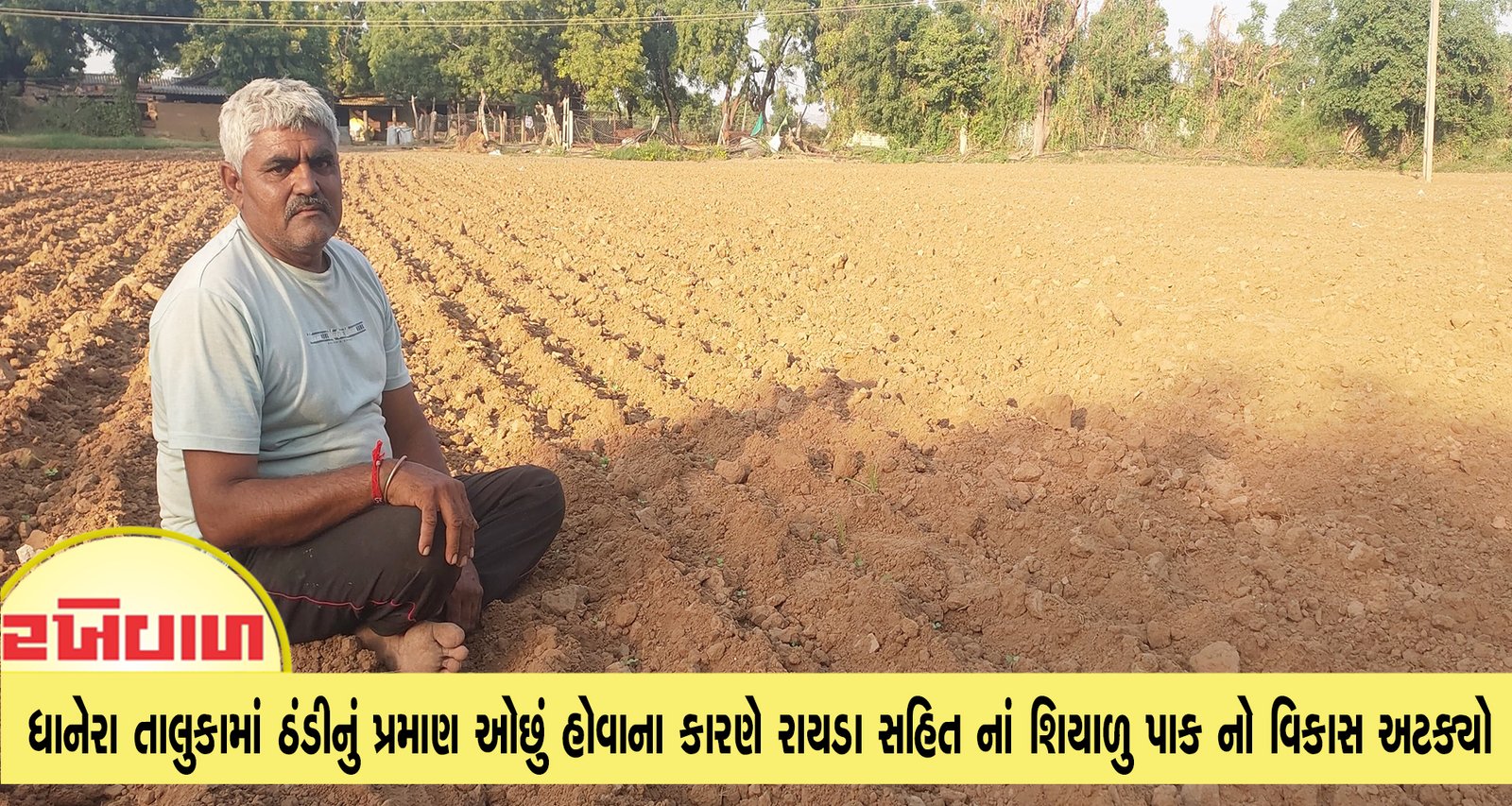 ધાનેરા તાલુકામાં ઠંડીનું પ્રમાણ ઓછું હોવાના કારણે રાયડા સહિત નાં શિયાળુ પાક નો વિકાસ અટક્યો