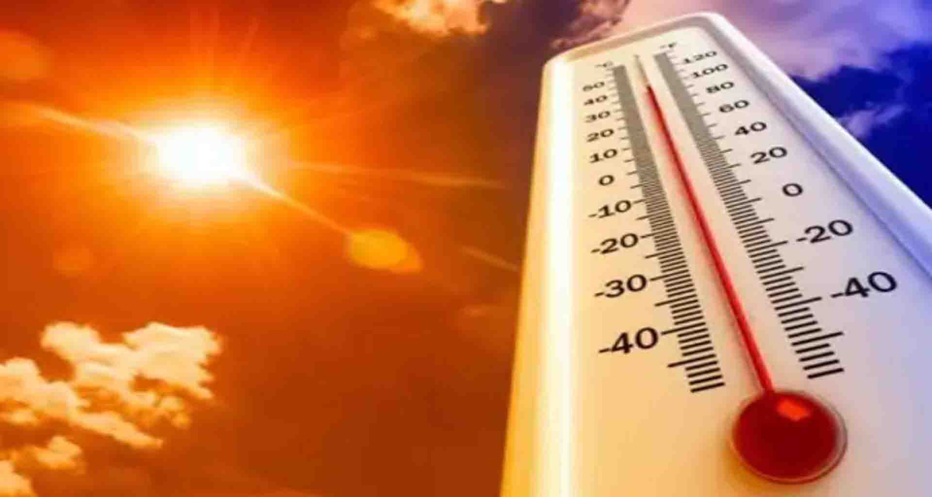 સરહદી બનાસકાંઠા જિલ્લામાં 17 કિ.મી.ની ઝડપે પવન ફૂંકાતા ઉડાન ચડ્યું