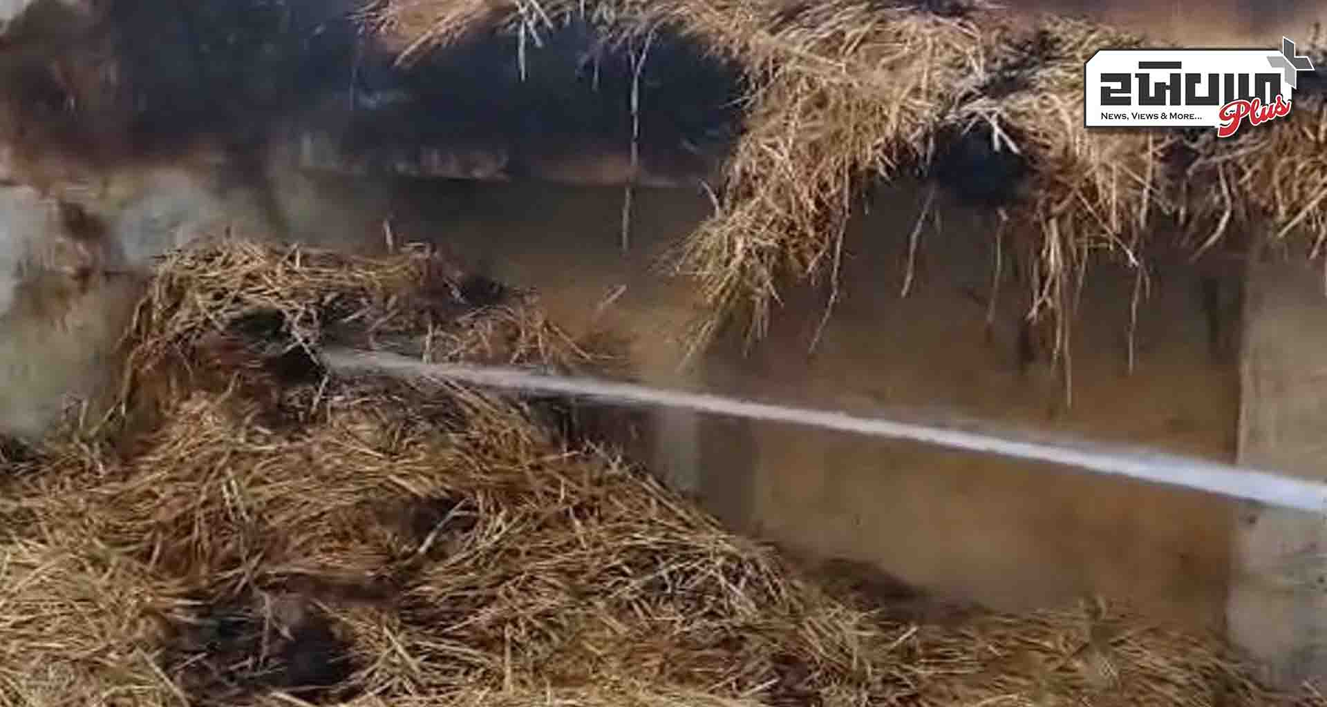 સાબરકાંઠા; વેલ્ડીંગમાંથી નીકળેલો તણખો નજીકમાં રાખેલા ડાંગરના સૂકા ઘાસ પર પડતાં આગ ભભૂકી ઊઠી