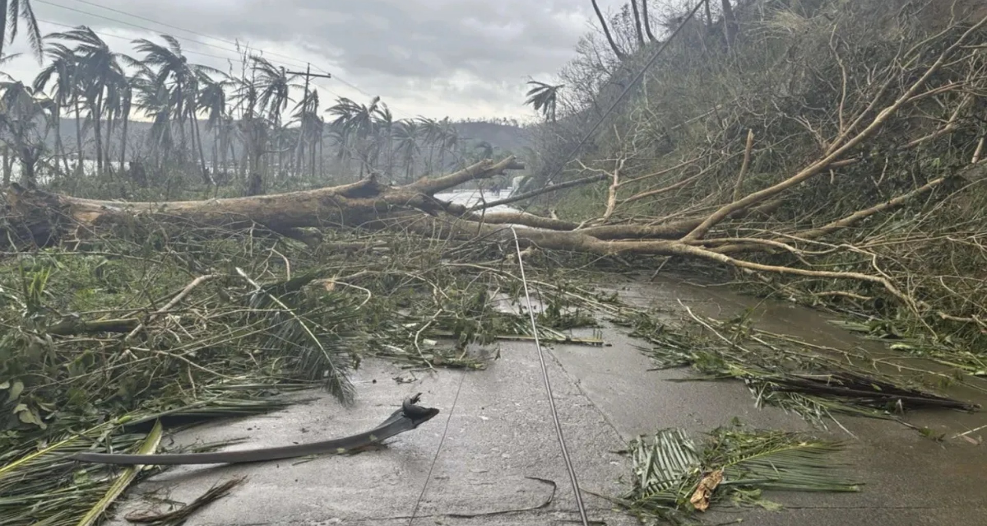 ફિલિપાઇન્સમાં ફેંગશેન વાવાઝોડાએ ભારે તબાહી મચાવી, 7 લોકોના મોત અને 14,000 લોકો બેઘર થયા