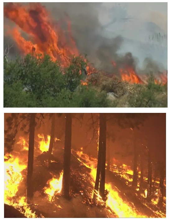 કેલિફોર્નિયાના ક્લિયરલેકમાં ઇસ્ટલેક ડ્રાઇવ અને ઓક સ્ટ્રીટ નજીક હાલમાં આશરે 100 એકરના જંગલોમાં આગ