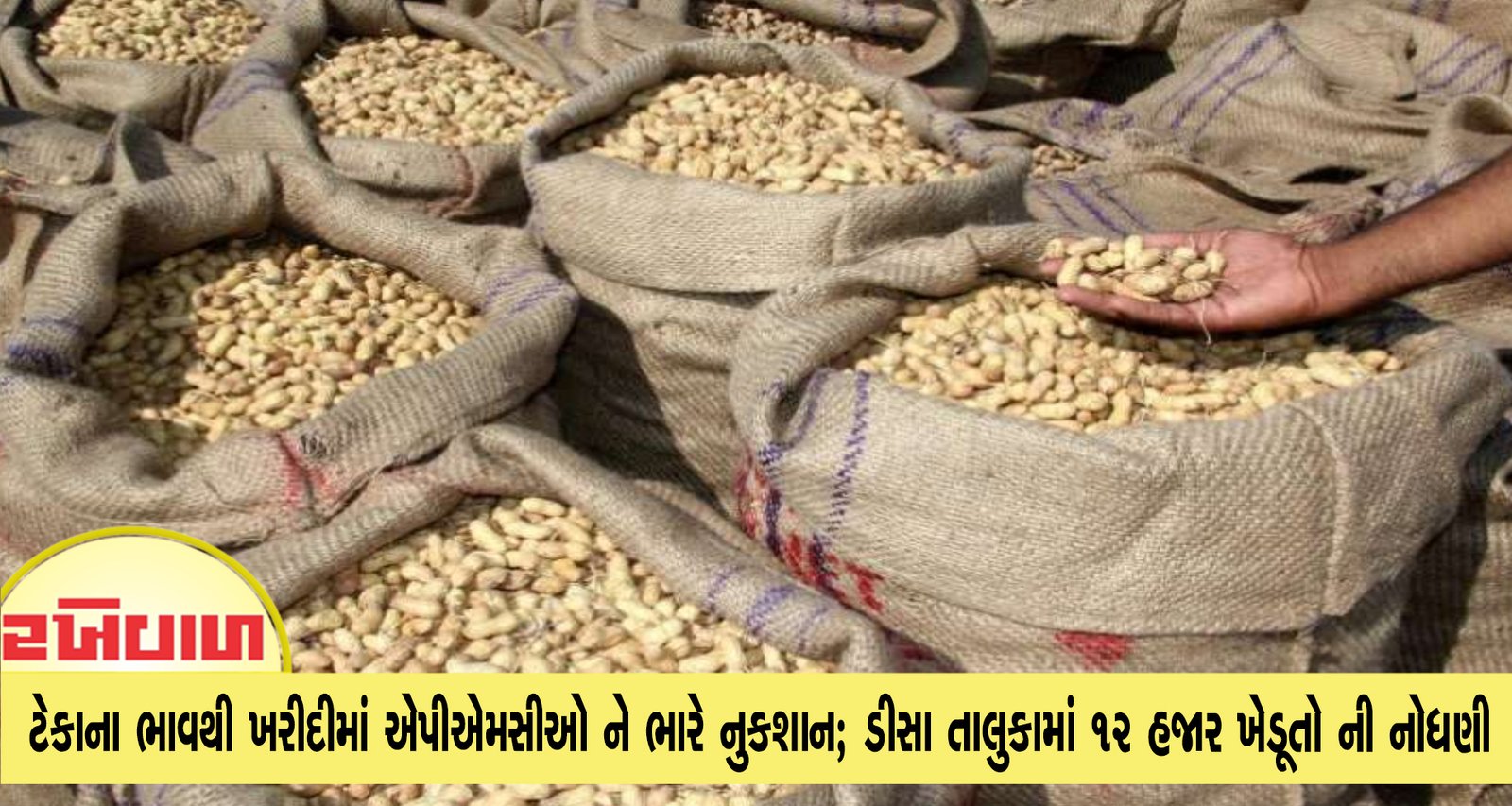 ગુજરાતમાં ટેકાના ભાવથી ખરીદીમાં એપીએમસીઓ ને ભારે નુકશાન; ડીસા તાલુકામાં 12 હજાર ખેડૂતો ની નોધણી