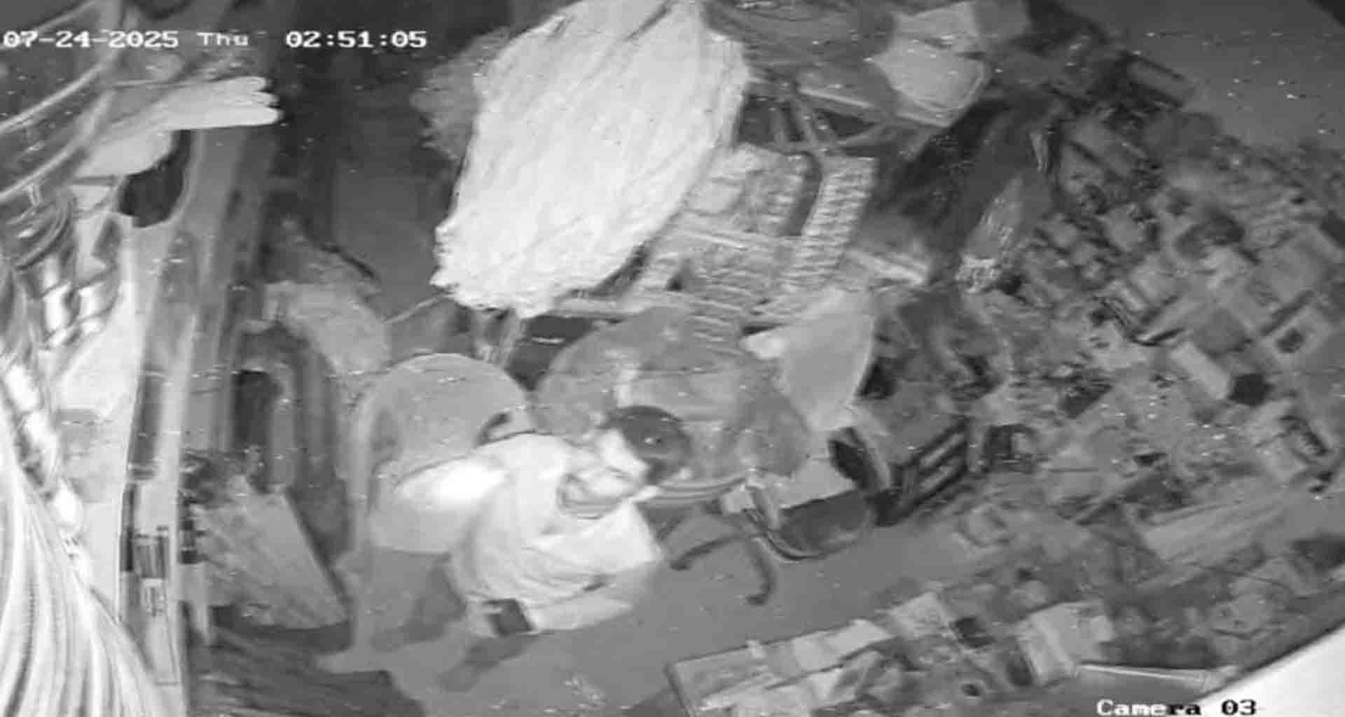 વડગામડા બસ સ્ટેન્ડની ચાર દુકાનોમાં તસ્કરોનો આતંક, ચોરીની ઘટના CCTV કેમેરામાં કેદ