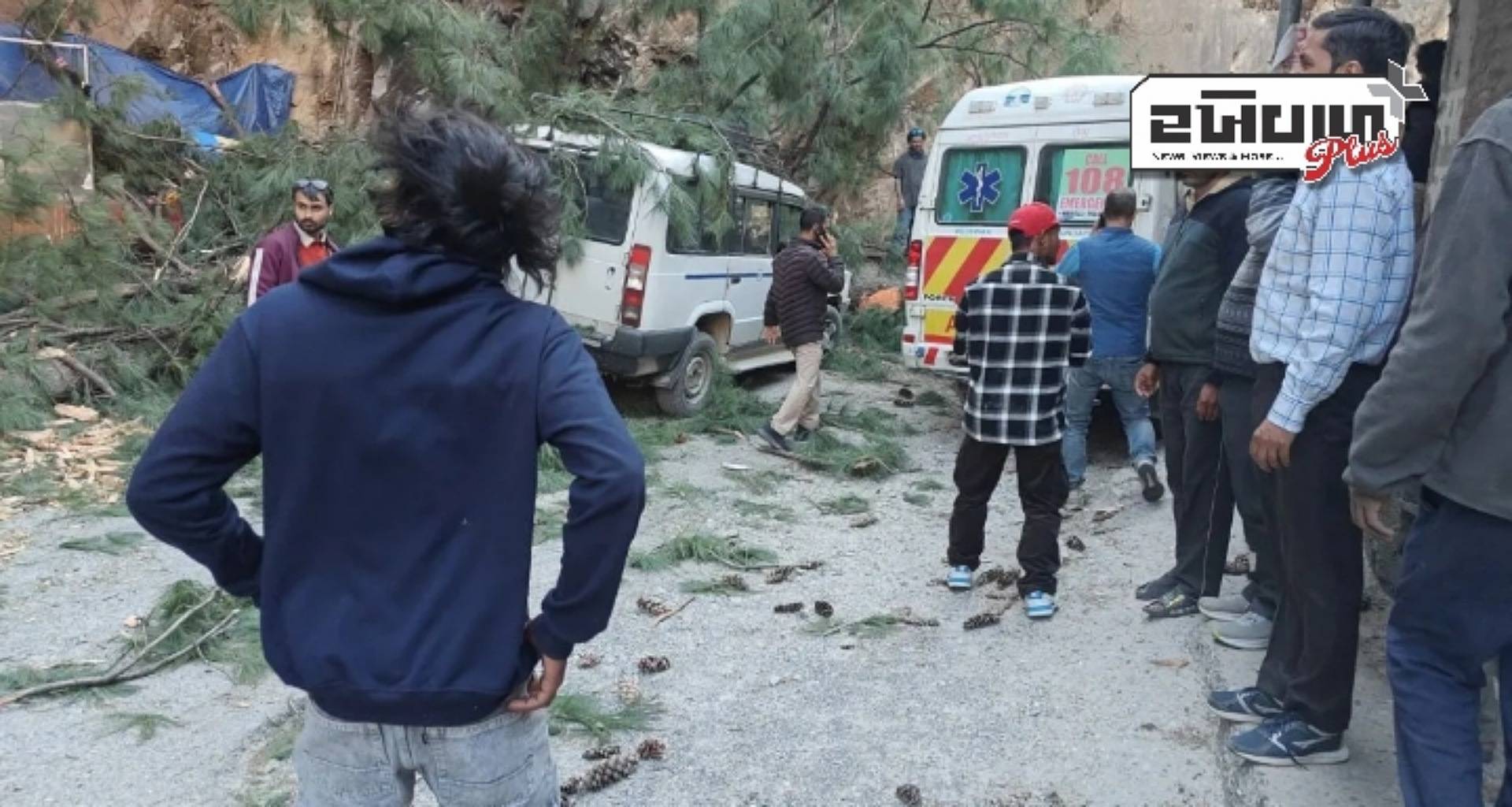 હિમાચલ પ્રદેશ: કુલ્લુના મણિકરણમાં ભારે પવનને કારણે વૃક્ષો ધરાશાયી, અનેક વાહનો અથડાયા, 6 લોકોના મોત, 5 ઘાયલ