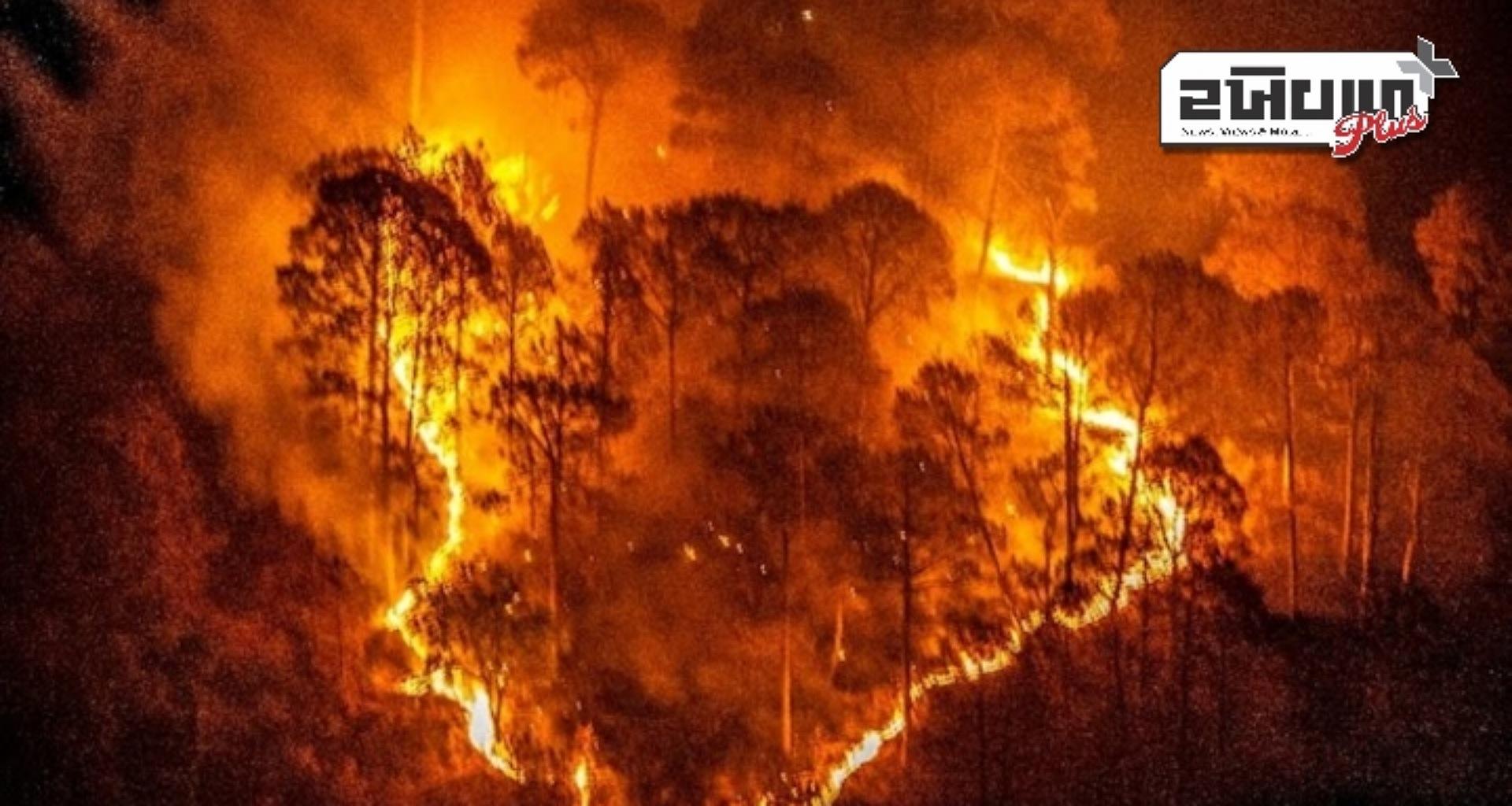 તમિલનાડુમાં આગ લાગવાની ઘટનામાં વધારો, લોકોમાં ભયનો માહોલ