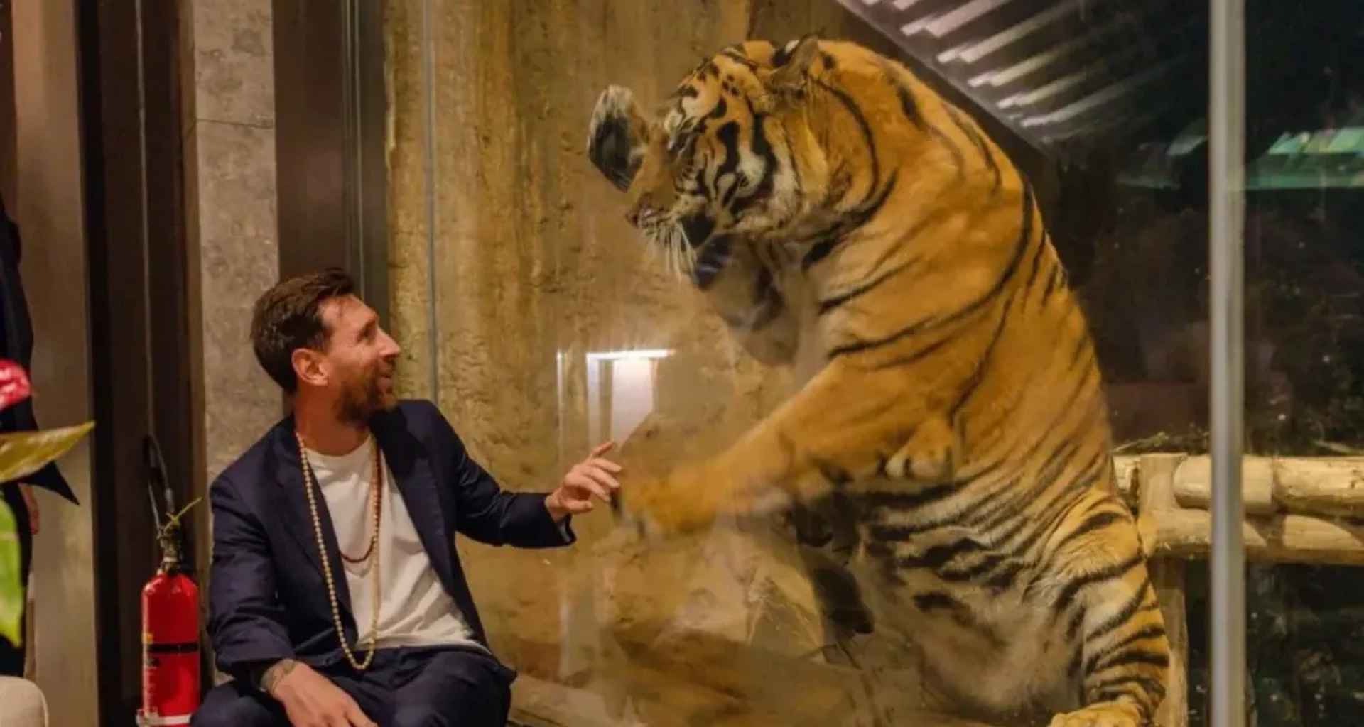 લિયોનેલ મેસ્સી વાંતારામાં પ્રાણીઓ સાથે મજા કરી