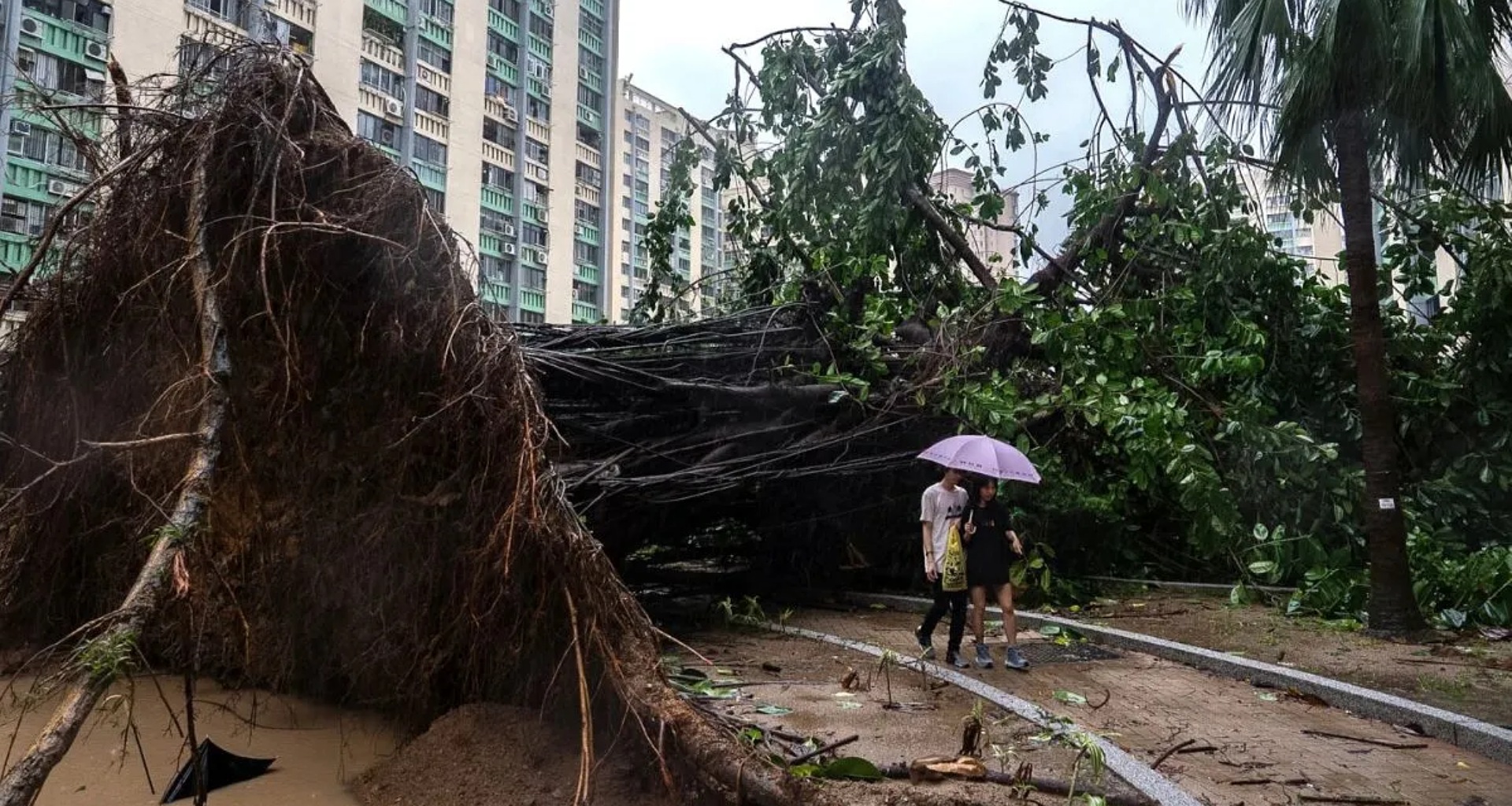 હોંગકોંગ અને ચીનમાં વાવાઝોડા રાગાસાએ ભારે નુકસાન પહોંચાડ્યું