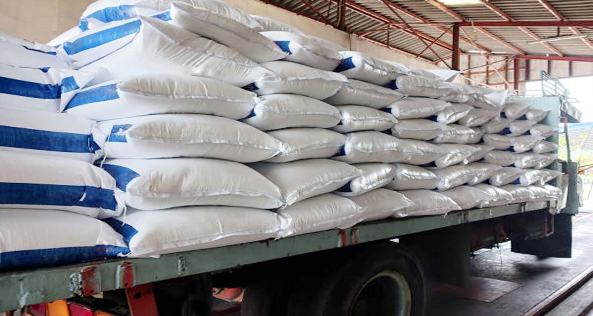 બનાસકાંઠા અને વાવ-થરાદ જિલ્લામાં યુરીયા ખાતરની અછત