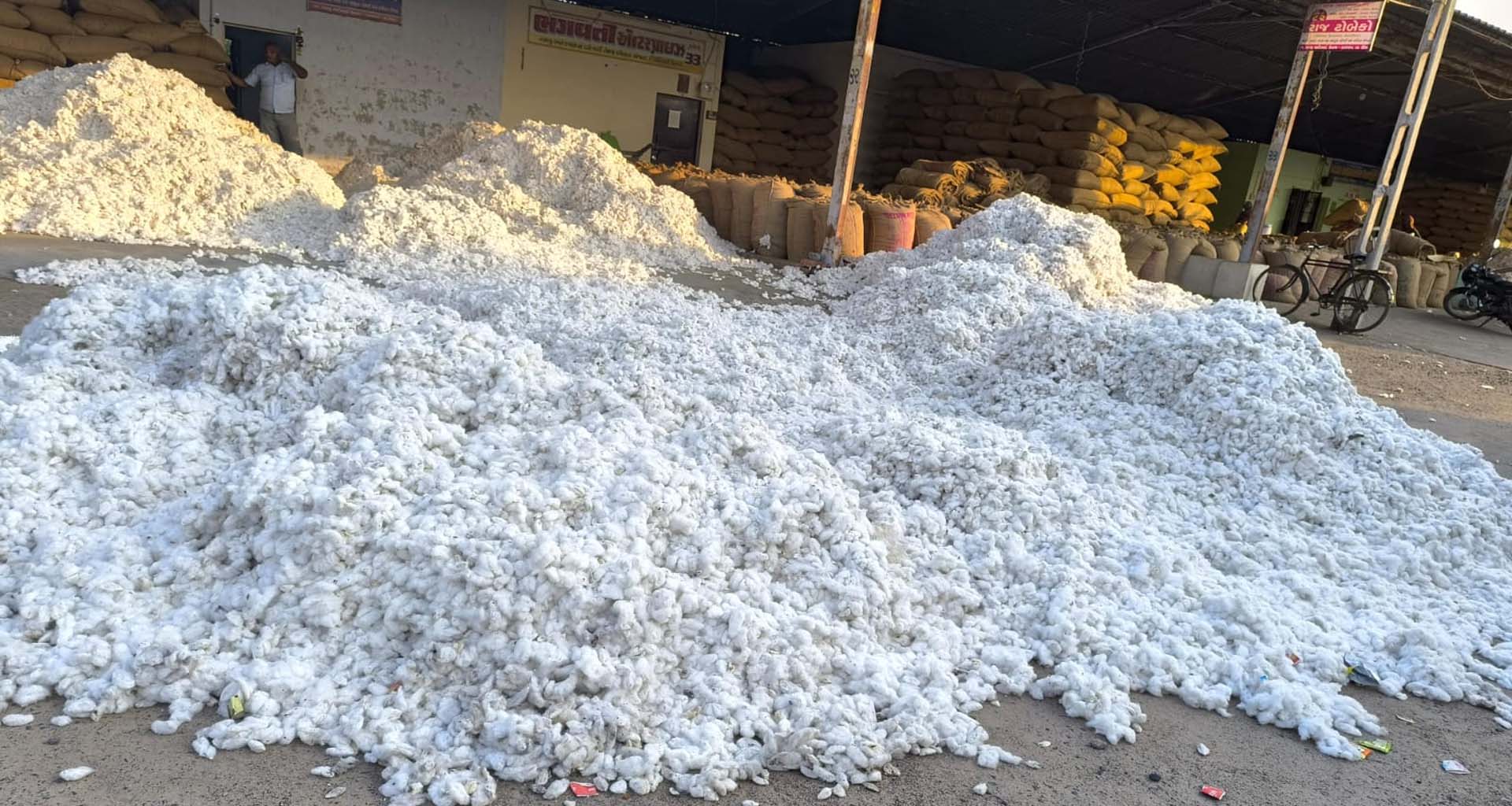 ઉનાવા માર્કેટયાર્ડ ખાતે દૈનિક કપાસની 5 ગાડીની આવક