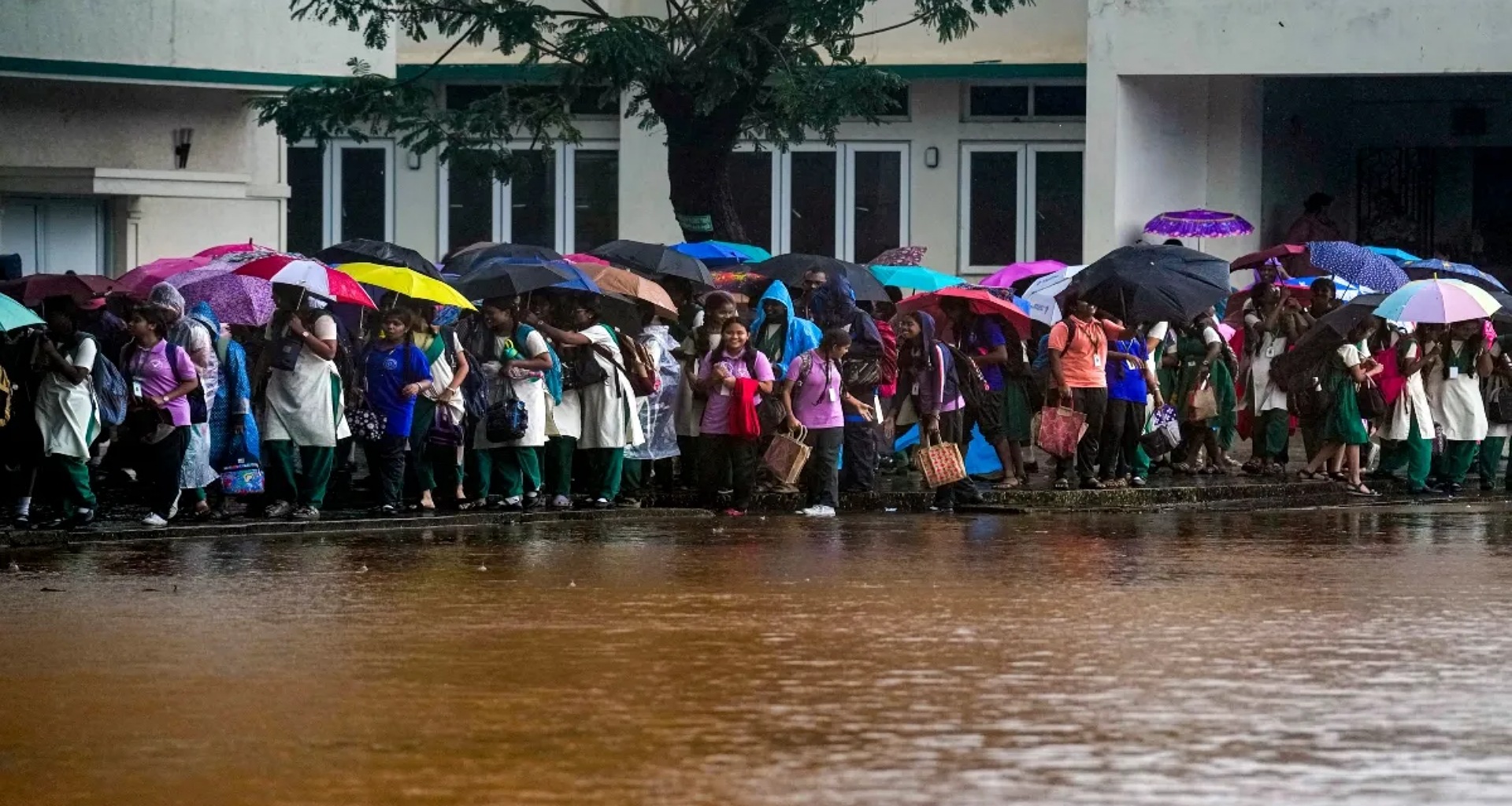 ચક્રવાત દિટવાહે તબાહી મચાવી, અનેક જિલ્લાઓમાં શાળાઓ અને કોલેજો બંધ