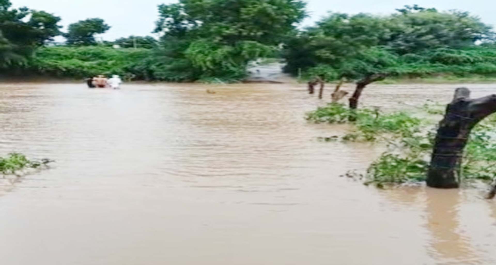 ભારે વરસાદના કારણે રસ્તો બંધ થતાં અરંટવાના 50 પરિવારોની હાલત કફોડી