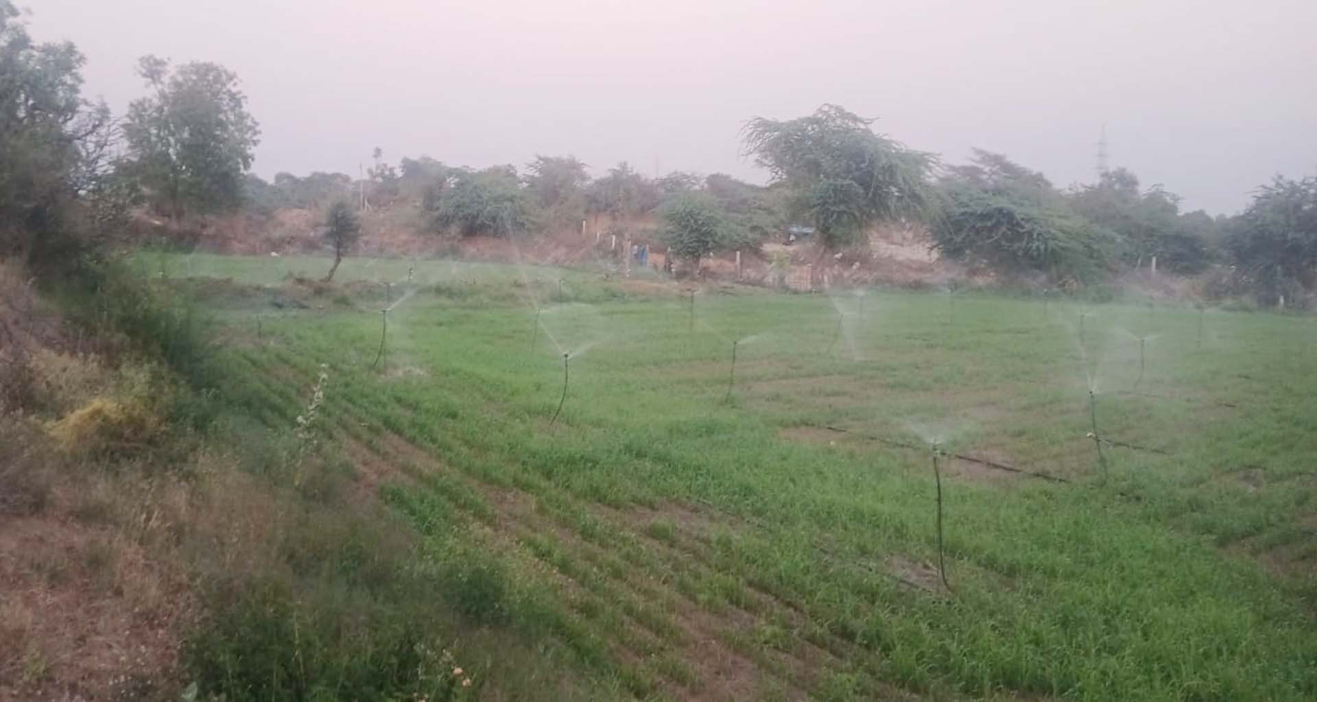 જૂનાડીસામાં ગૌચર જમીન પર વર્ષોથી દબાણદારોનો કબ્જો