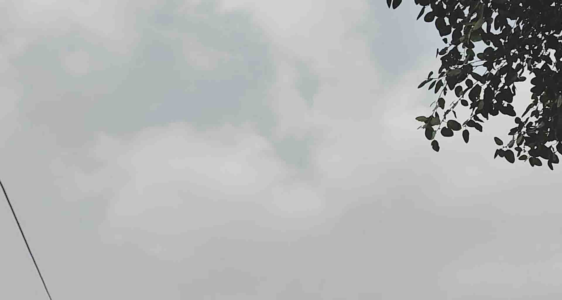 કમોસમી વરસાદની આગાહીના પગલે અનાજના રક્ષણ માટે તકેદારીના પગલાં લેવા સૂચન