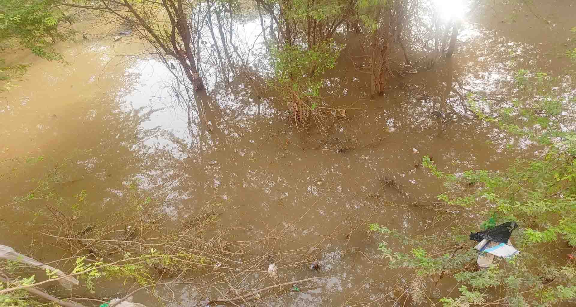 પાલનપુરની બંસીધર રેસિડેન્સી સોસાયટીના પાછળના ભાગે કચરો અને ગંદકી થતાં રહીશો પરેશાન