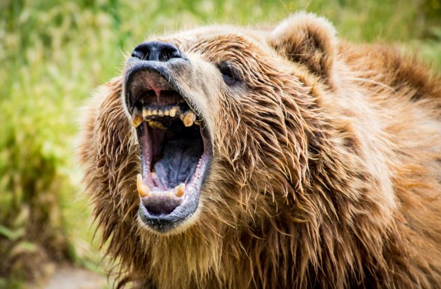 નિફટી ફ્યુચર ૨૩૨૩૨ પોઈન્ટ ઉપર તેજી યથાવત રહેશે…!!