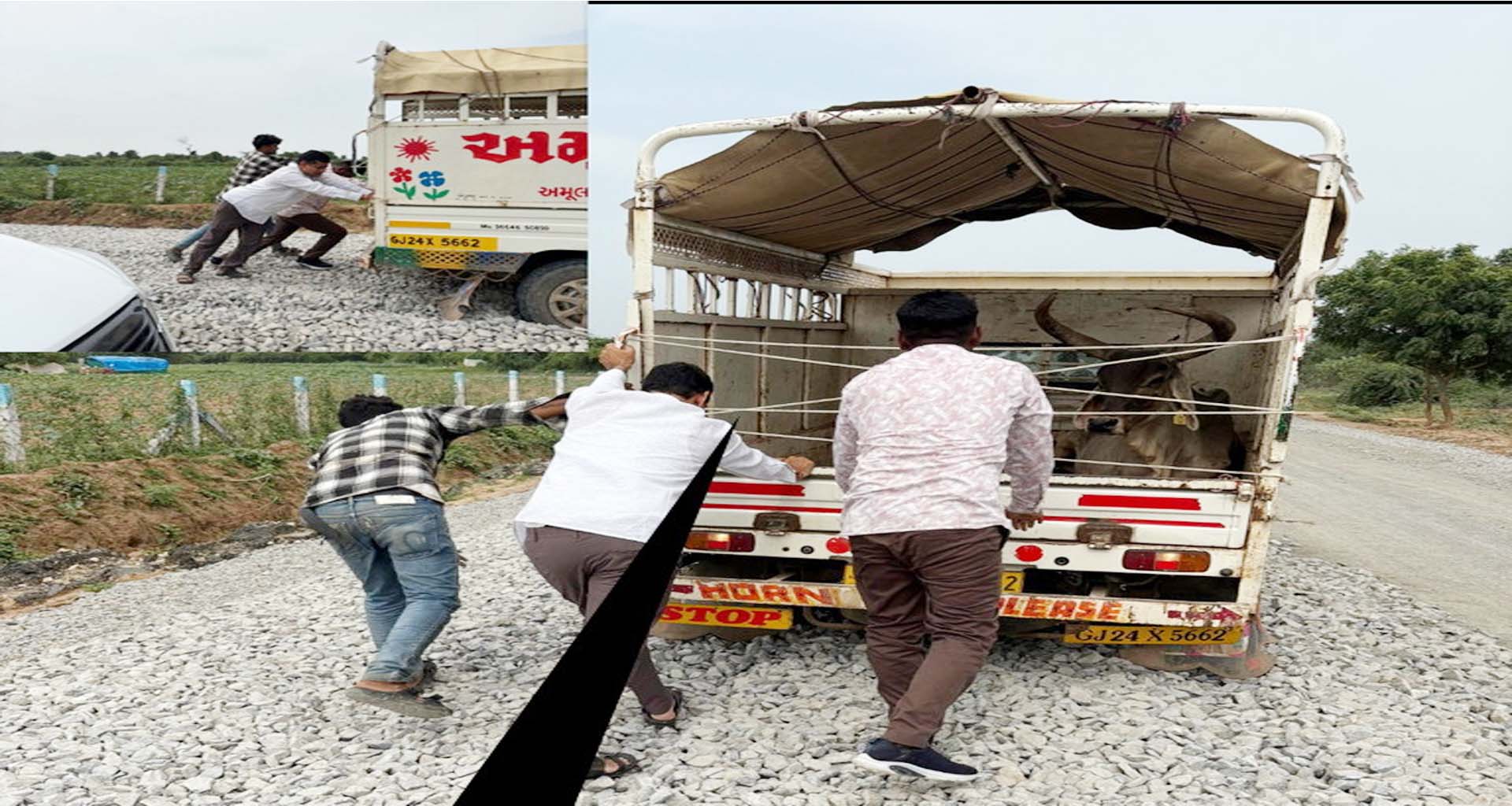 સુઇગામ પાસે પિકઅપ ડાલું ફસાતા ખુદ ધારાસભ્યને ધક્કો મારવા મજબુર થયા