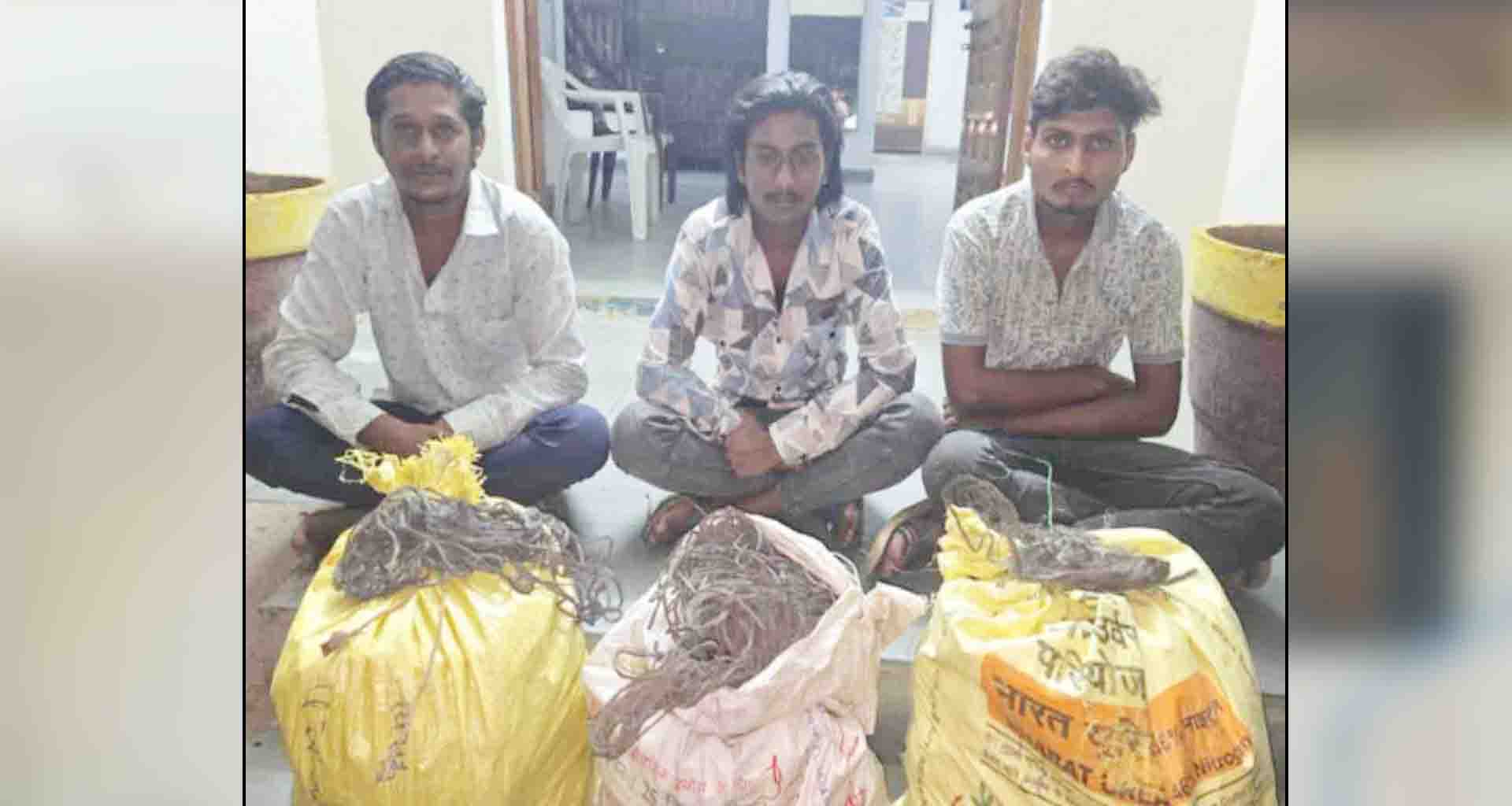 પાટણ; કેબલ વાયરની ચોરીના ત્રણ ગુનાઓનો ભેદ ઉકેલાયા આરોપીઓની અટકાયત