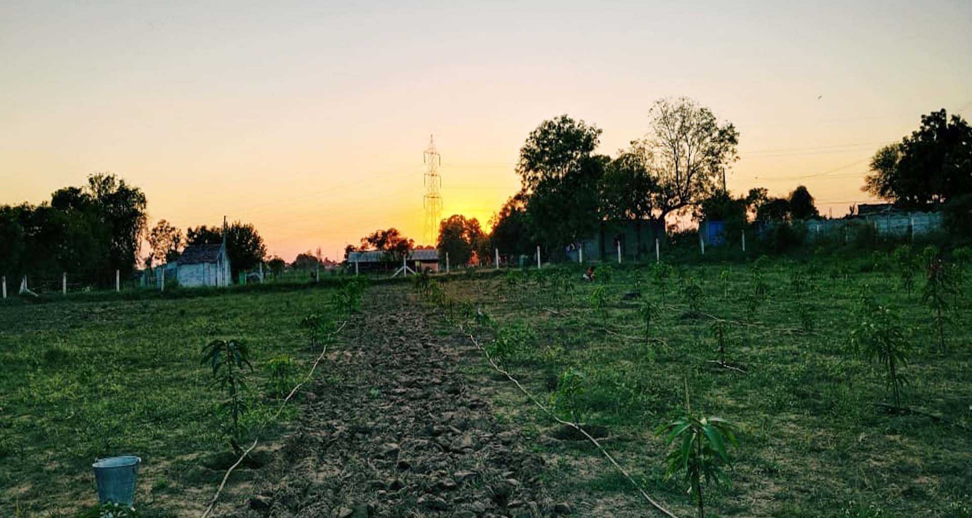 ડીસામાં પારો ગગડીને 13.3 ડિગ્રીએ પહોંચ્યો : ઠંડી વધવાની હવામાન વિભાગની આગાહી