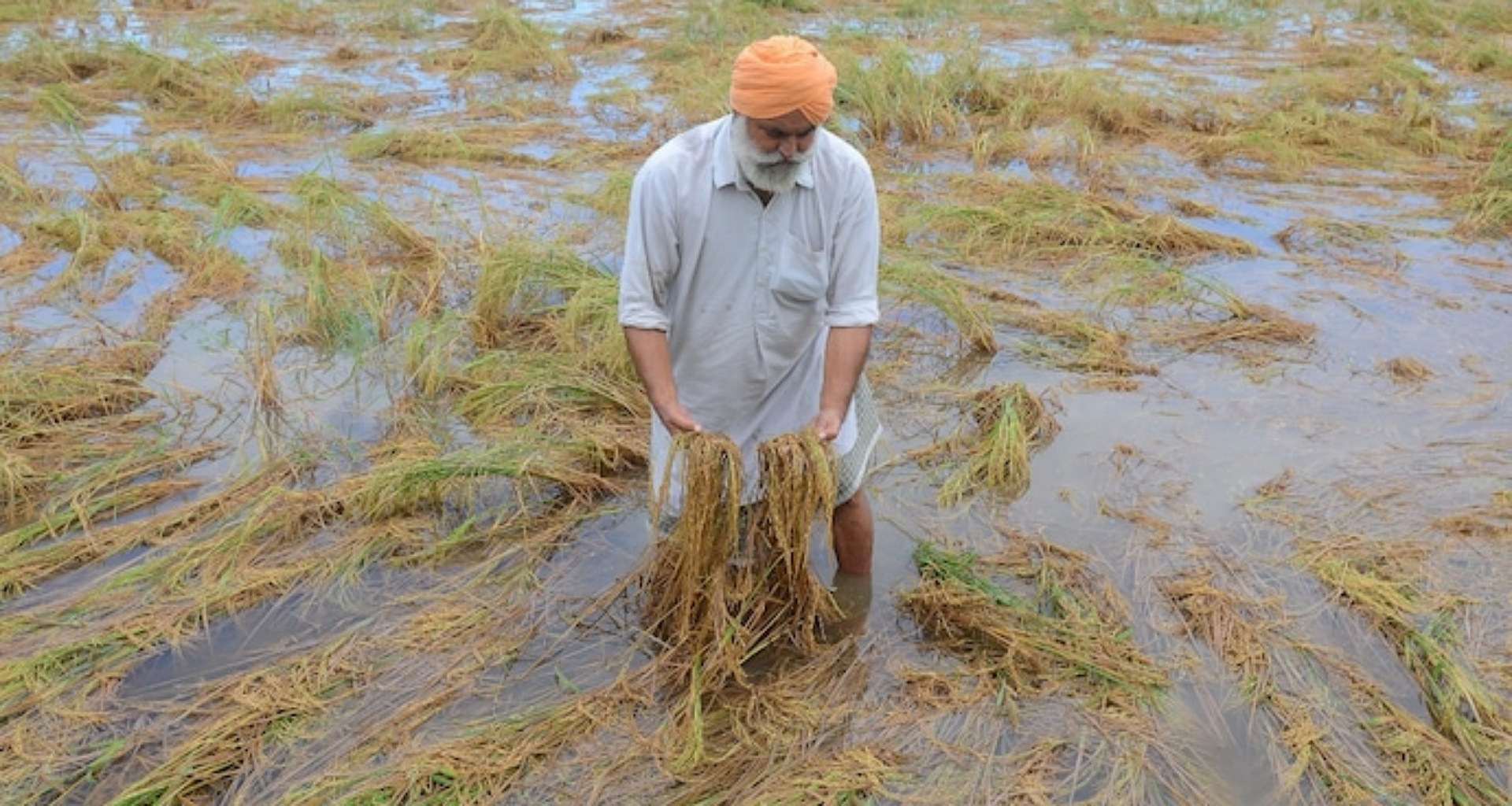 કૃષિ-આતંકવાદ શું છે, જેના માટે અમેરિકાએ 2 ચીની લોકોની ધરપકડ કરી?