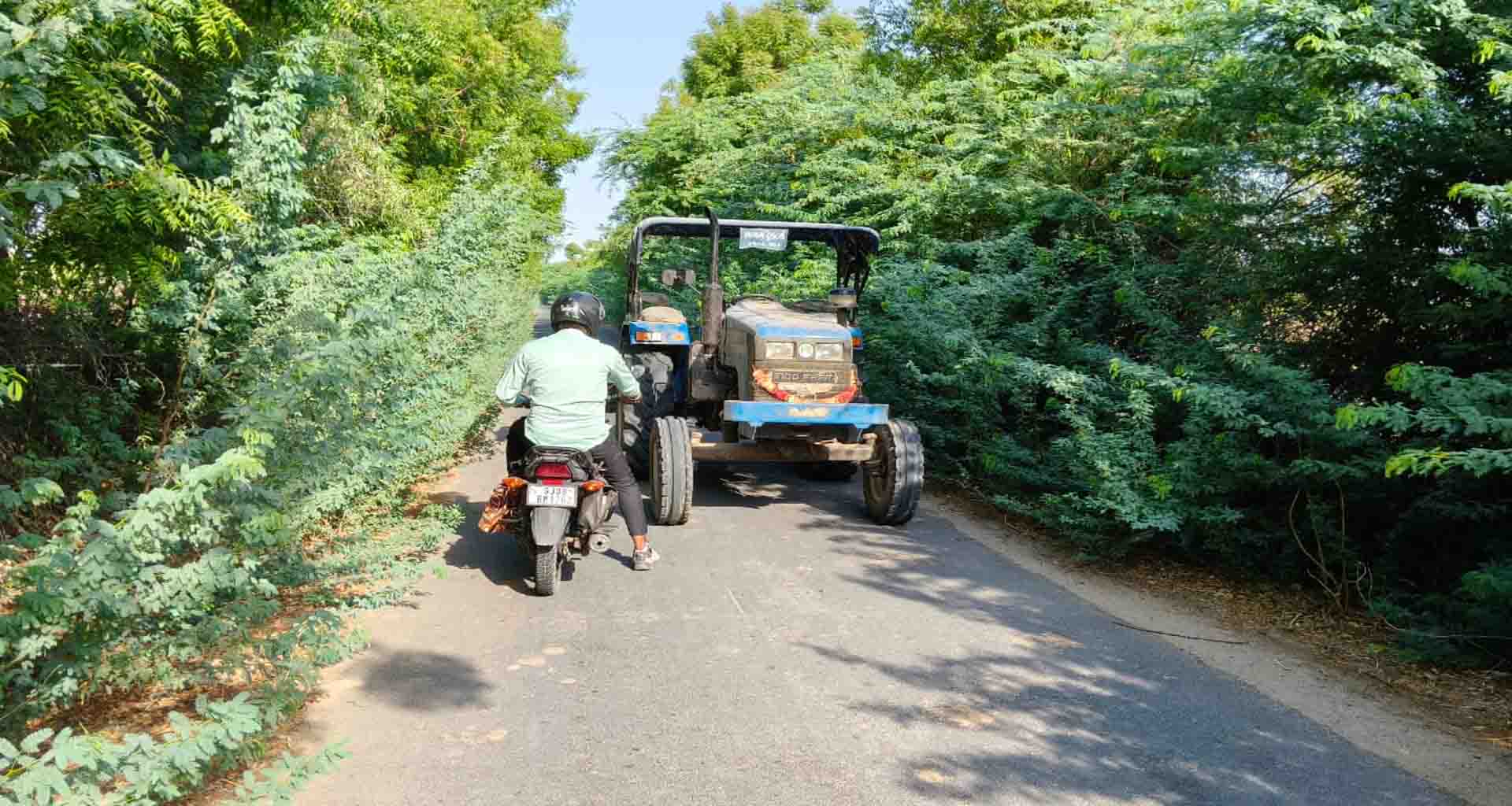 વાવના કુંડાળીયા ચારરસ્તાથી કારેલી રોડ પર બાવાળોનું રાજ : અકસ્માતની ભીતિ