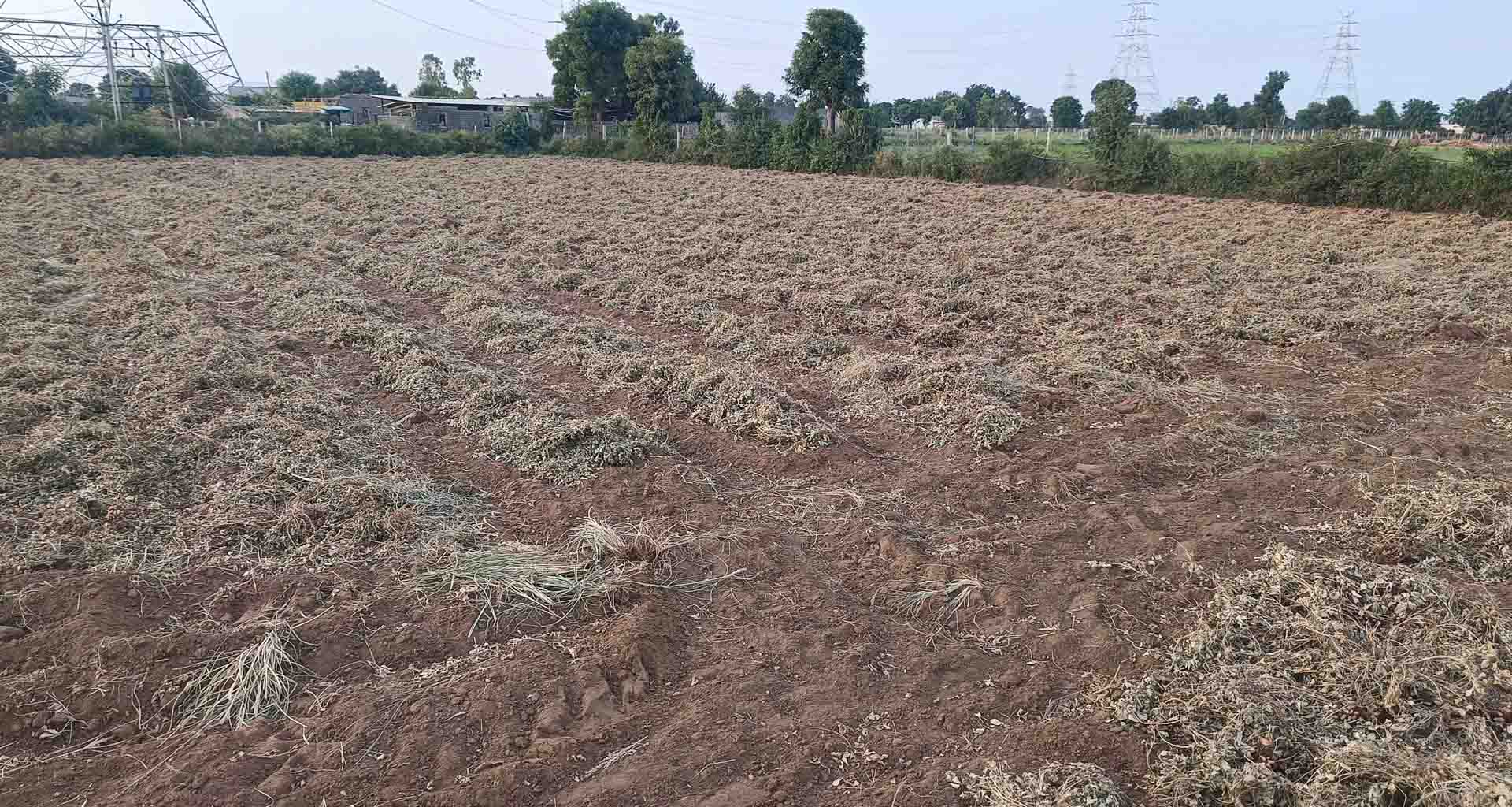 બનાસકાંઠા જિલ્લામાં ફરી એકવાર ગરમીમાં વધારો; વરસાદની કાગડોળે રાહ