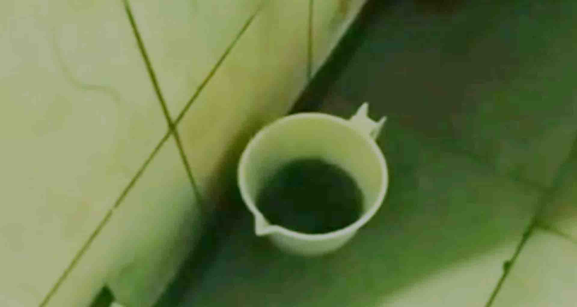 પાટણના સાલવીવાડા વિસ્તારમાં પીવાનું પાણી દુષિત આવતા ઝાડા ઉલટીના કેસો વધ્યા..!