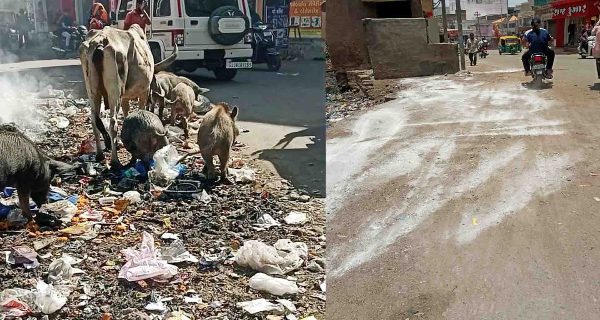 પાલનપુરના દિલ્હીગેટ વિસ્તારની વર્ષોજુની સમસ્યાનો અંત; દિલ્હીગેટ ચોક બન્યો ગંદકી મુક્ત