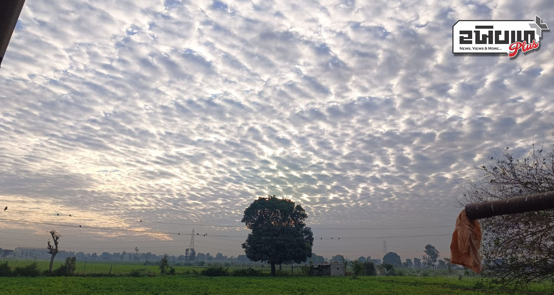 શિયાળાના ઉત્તરાર્ધે વધુ એક મજબૂત વેસ્ટર્ન ડીસ્ટર્બન્સ ને લઈ વાતાવરણમાં પલટો