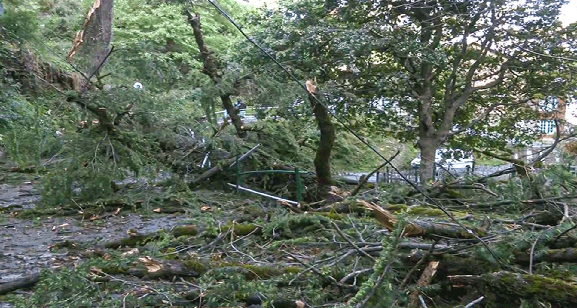 યુપીમાં વરસાદ-વાવાઝોડાનું તાંડવઃ ૨૦ લોકોના મોત