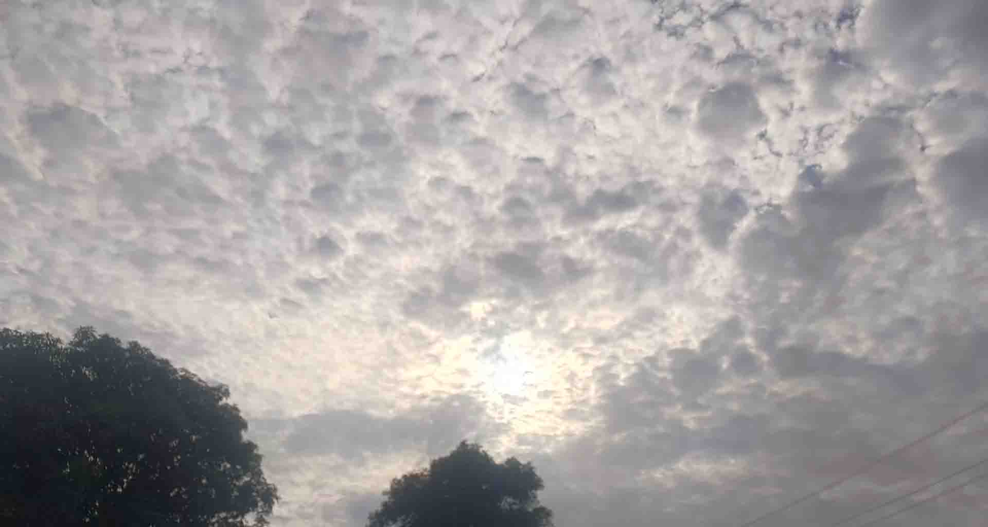 છેલ્લા ૧૦ દિવસથી વરસાદે વિરામ લેતાં બાફ અને ઉકળાટ વધ્યો, ઉનાળા જેવી ગરમીનો અહેસાસ