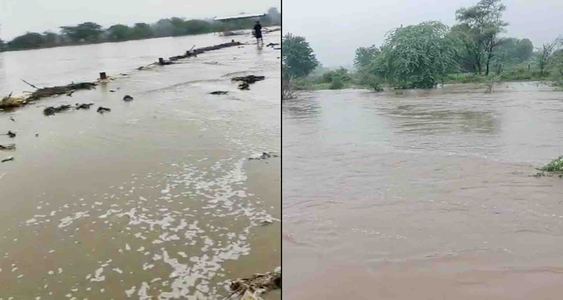 વડગામ ના ધાન્ધારની ધરતીપર લોકમાતા સરસ્વતીનું આગમન