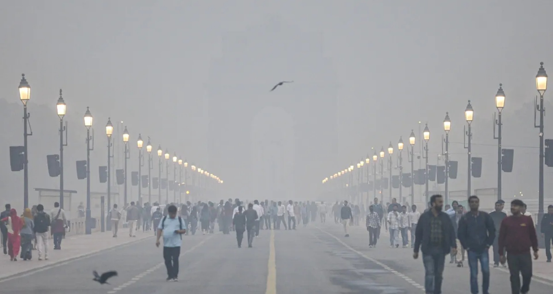 ઉત્તર પ્રદેશ, બિહાર અને ઝારખંડમાં ભારે ગાઢ ધુમ્મસ માટે ઓરેન્જ એલર્ટ, IMD એ પંજાબ અને હરિયાણા માટે પણ ચેતવણી જારી