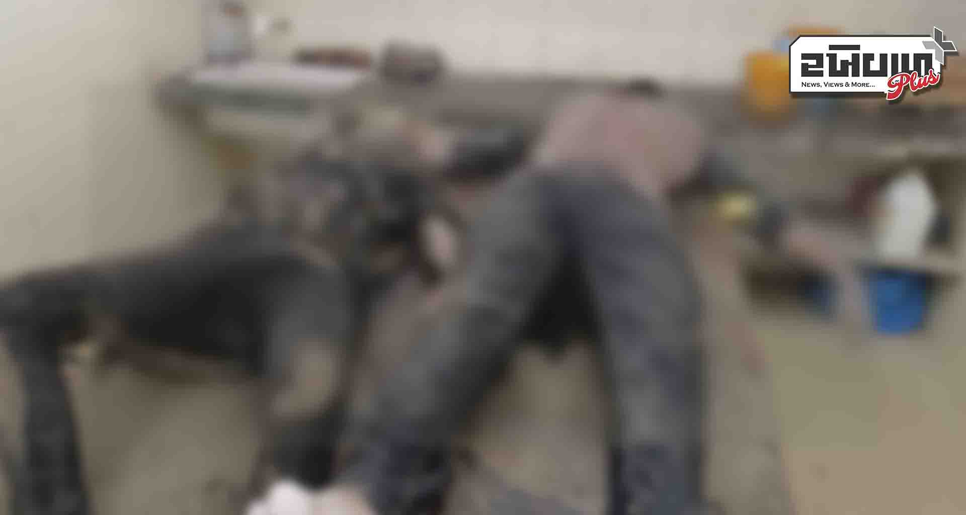 કડી; મુખ્ય નર્મદા કેનાલમાંથી યુવક અને યુવતીની લાશ મળી આવતાં ચકચાર