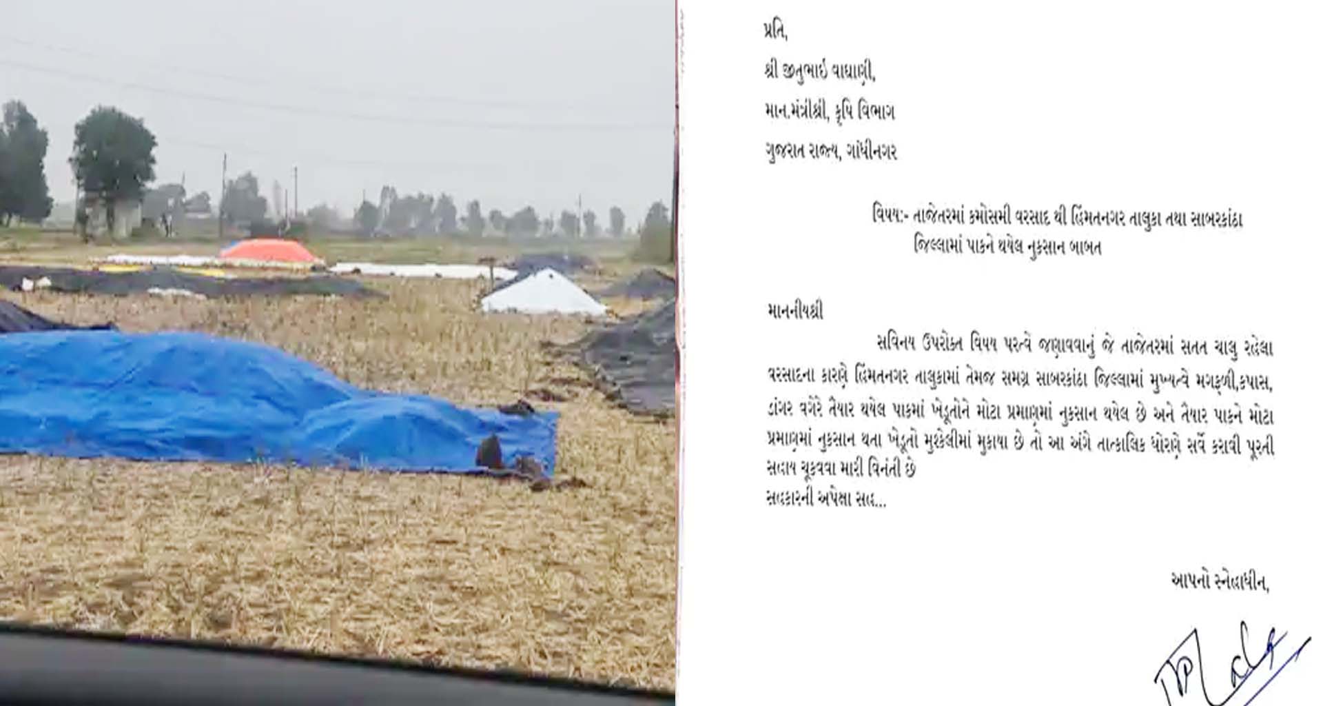 સાબરકાંઠામાં કમોસમી વરસાદથી પાકને ભારે નુકસાન : ધારાસભ્યએ સહાય માટે લેખિત રજૂઆત કરી