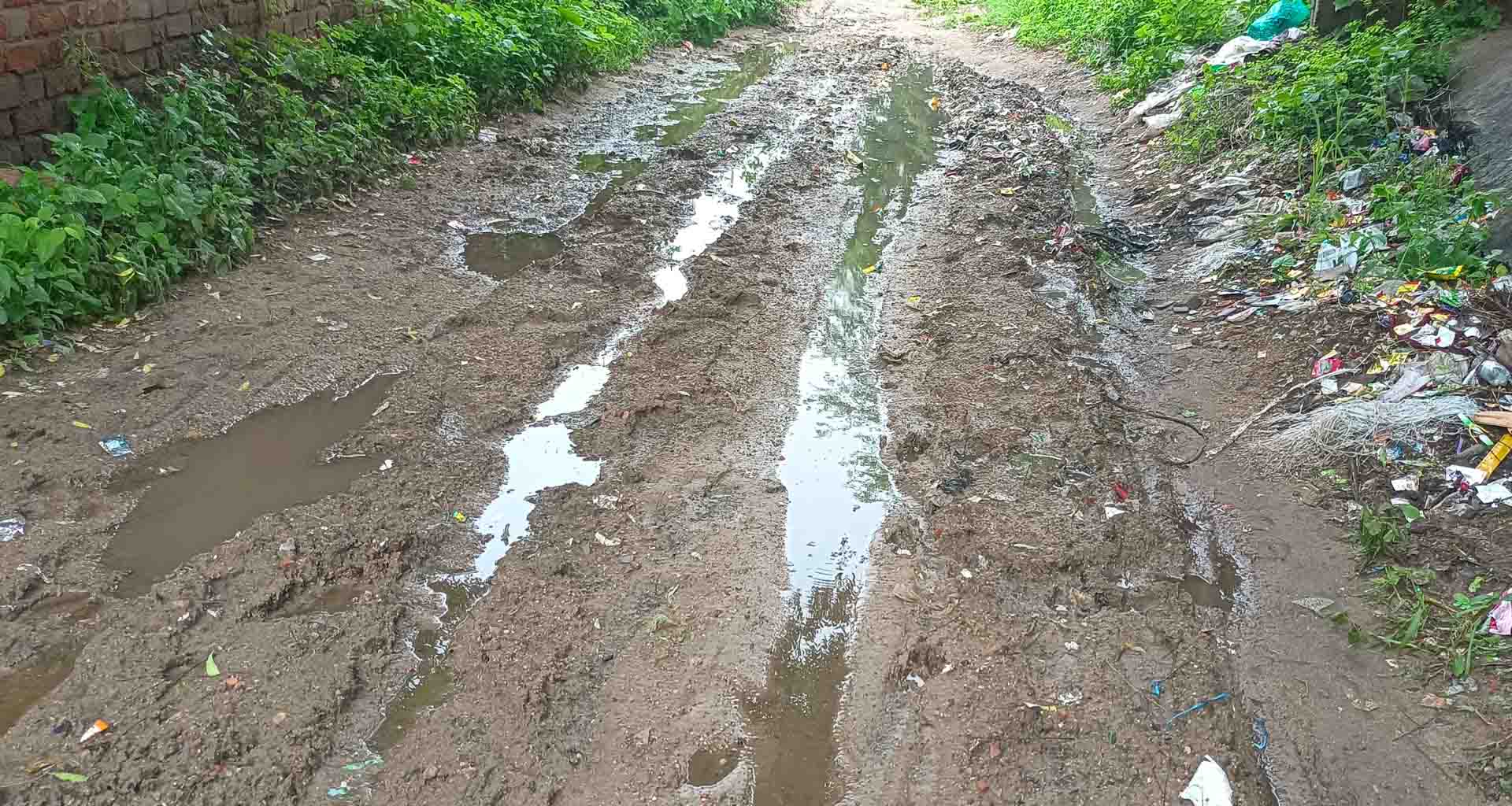 આસેડાના ગ્રામજનો અને વિદ્યાર્થીઓ પાકા રસ્તાના અભાવે પરેશાન, તાત્કાલિક કાર્યવાહીની અપીલ