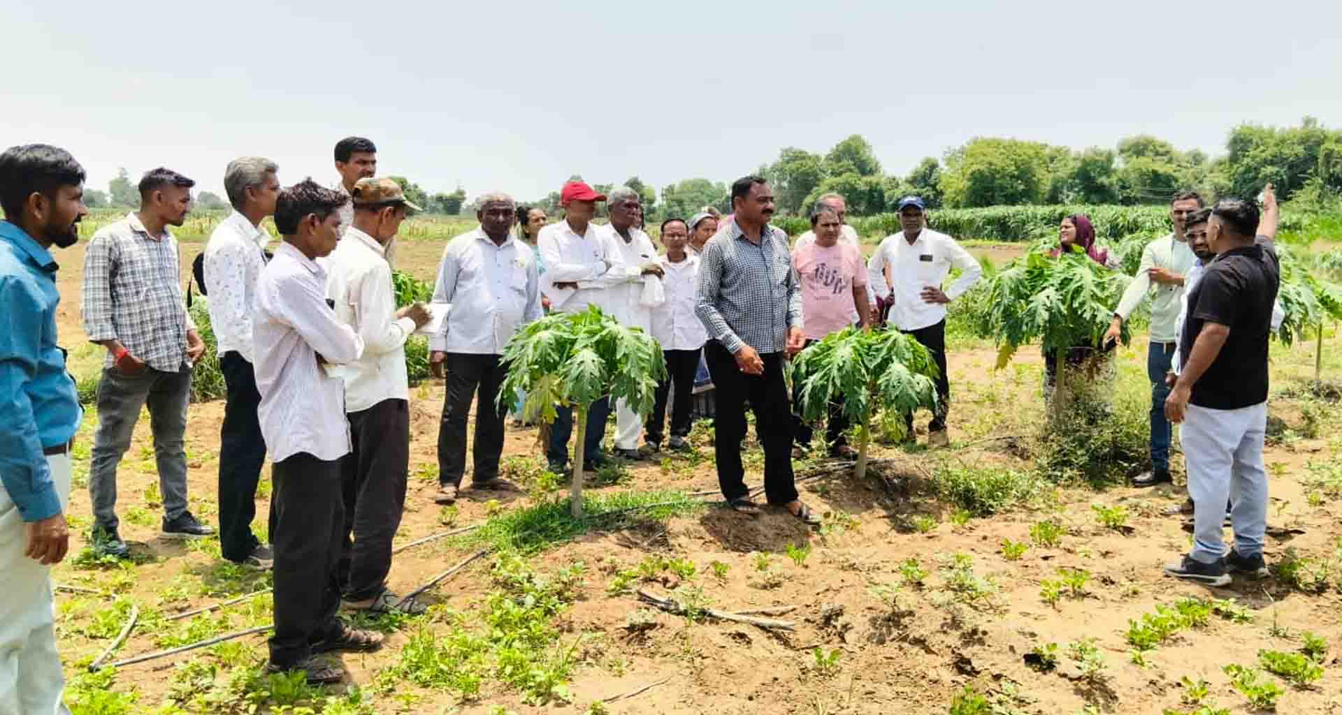 પ્રાંતિજના મેમદપુર ખાતે કૃષિસખી બહેનોએ પ્રાકૃતિક મોડલ ફાર્મની મુલાકાત લીધી